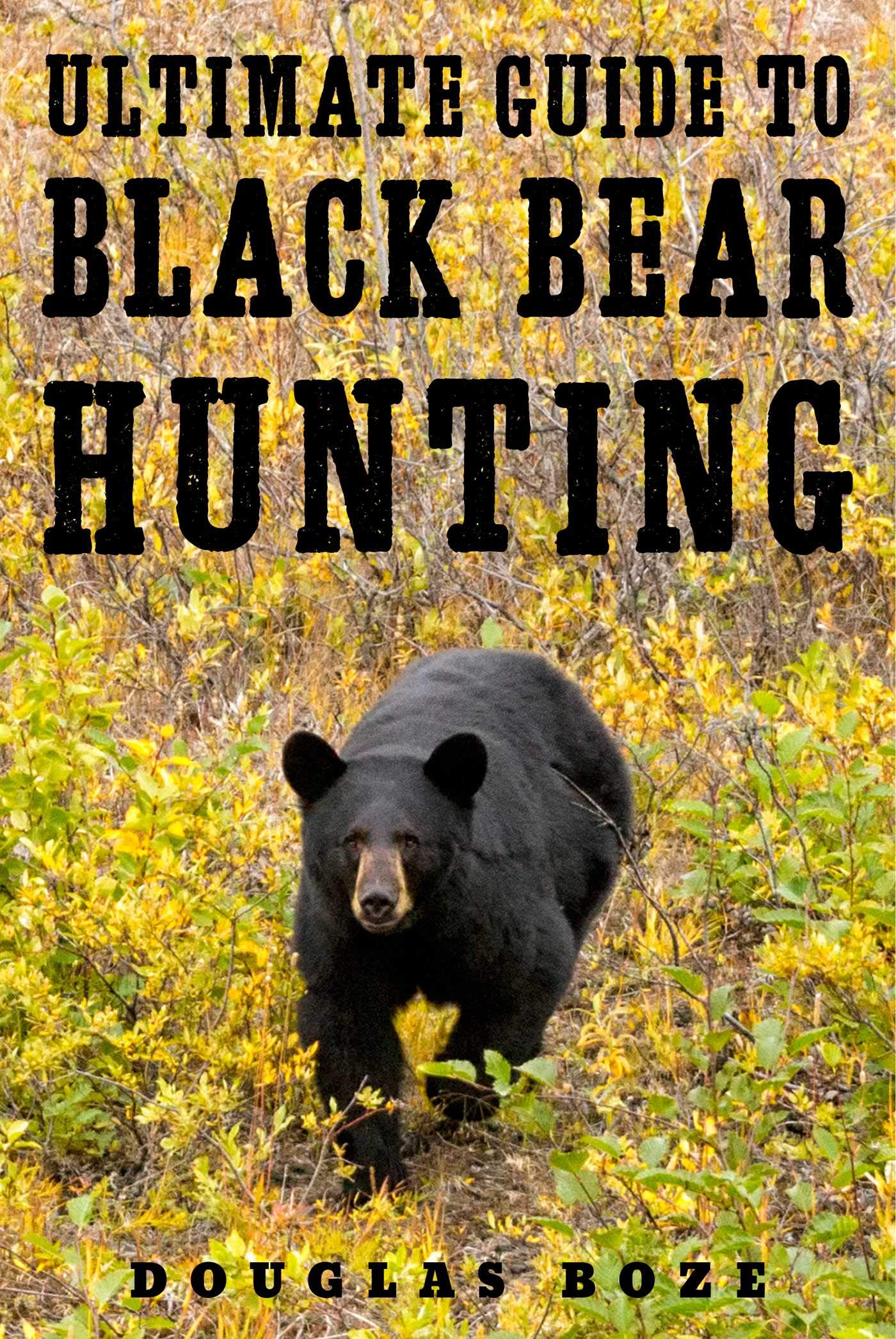 The Ultimate Guide To Black Bear Hunting
