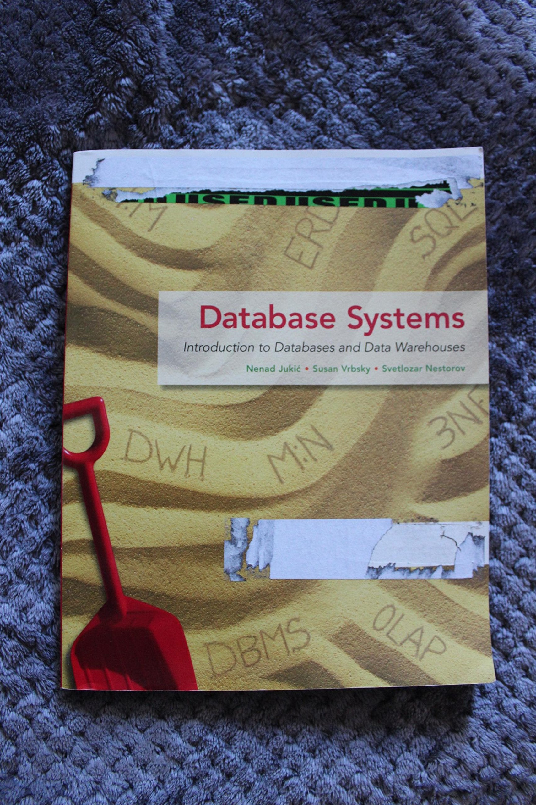Database Systems: Introduction to Databases and Data Warehouses,Used
