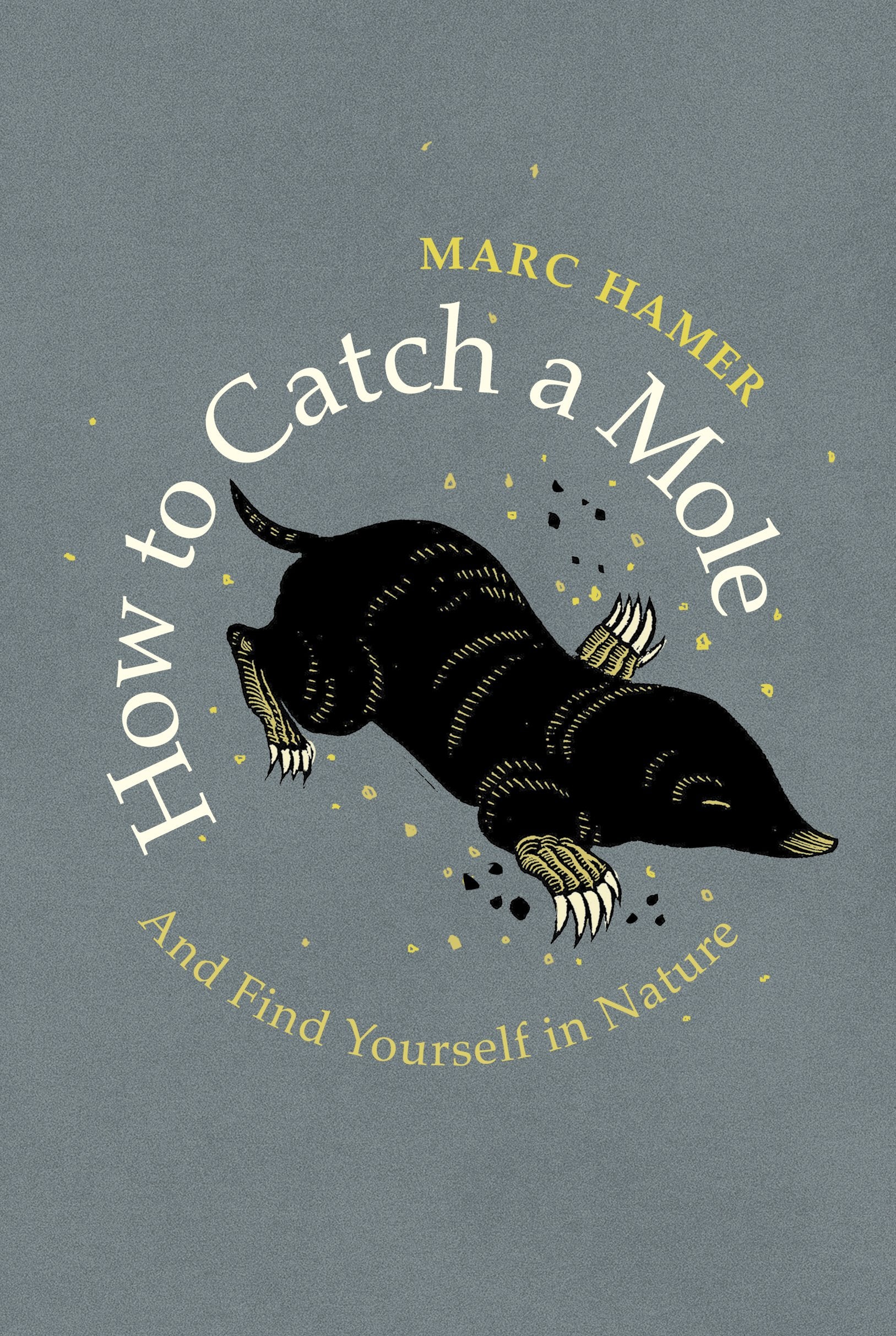 How To Catch A Mole,Used