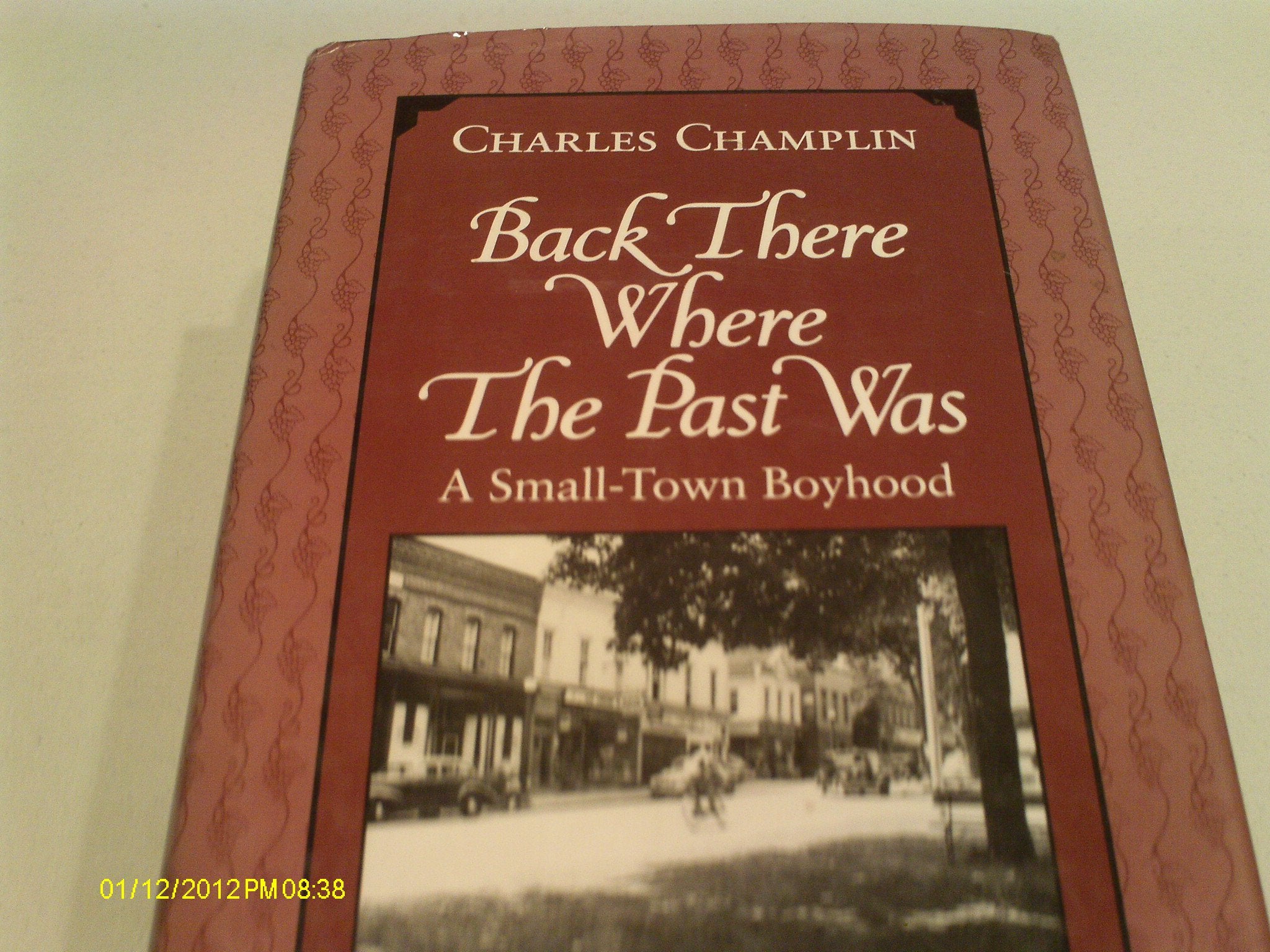 Back There Where the Past Was: A SmallTown Boyhood (York State Book),Used