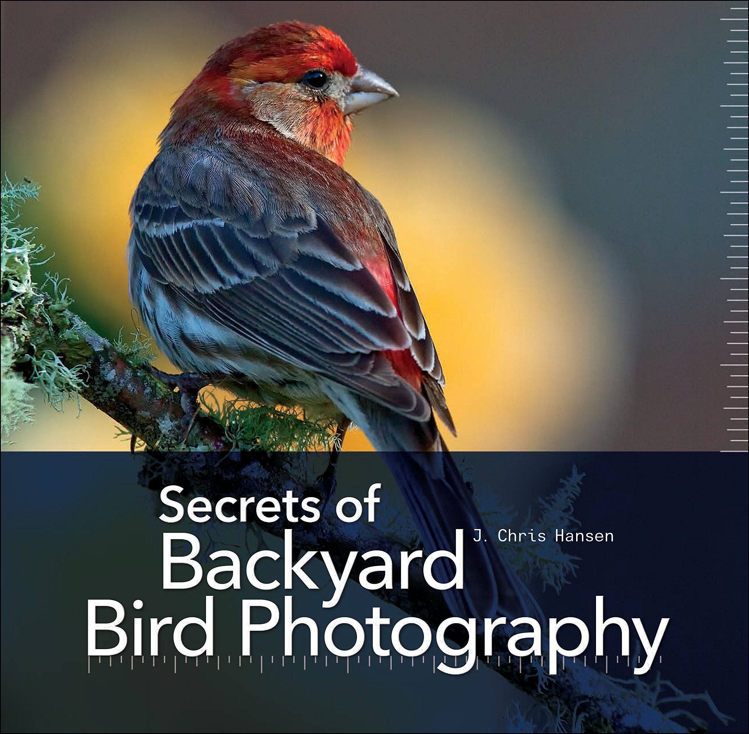 Secrets Of Backyard Bird Photography,Used
