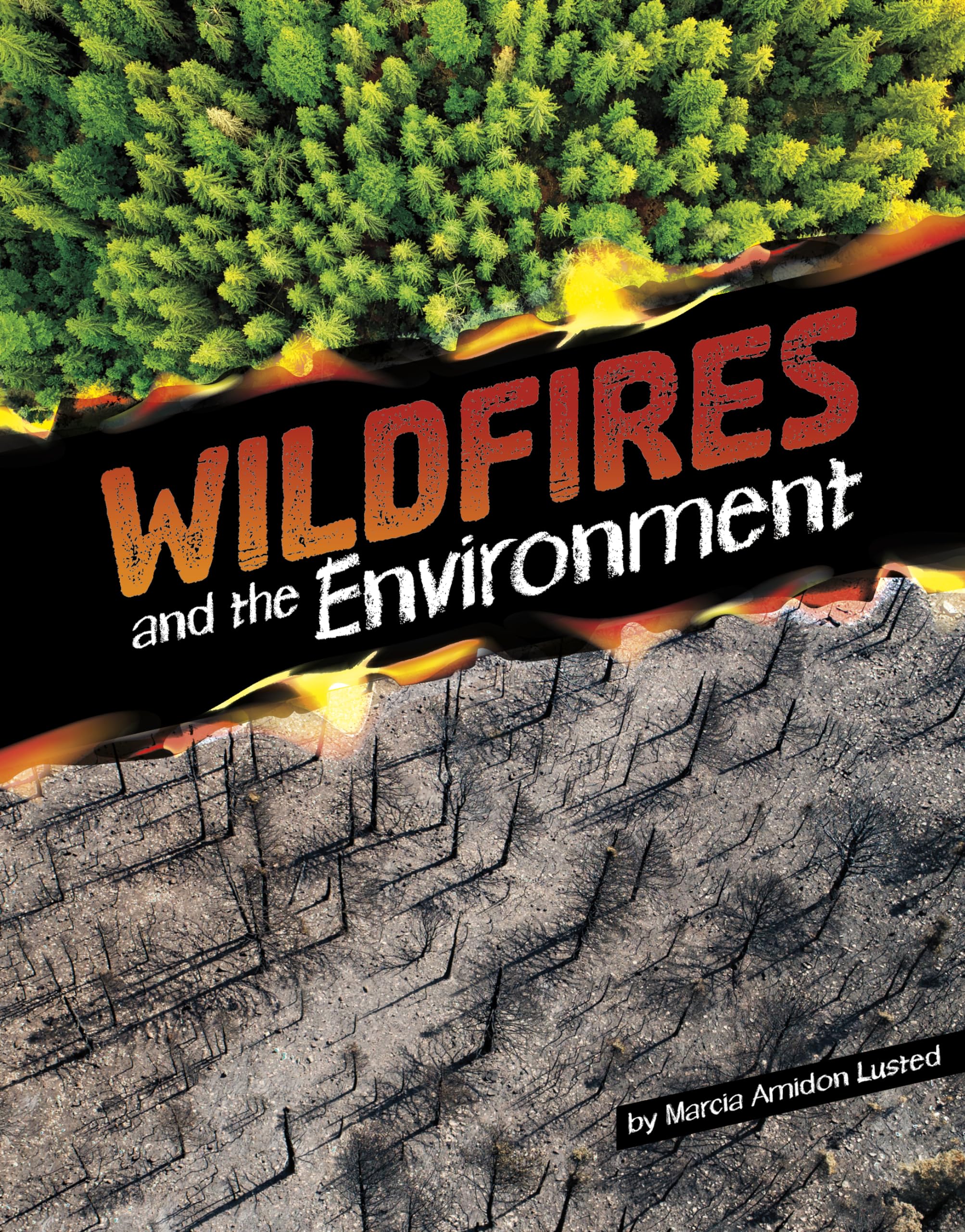 Wildfires and the Environment (Disasters and the Environment),New
