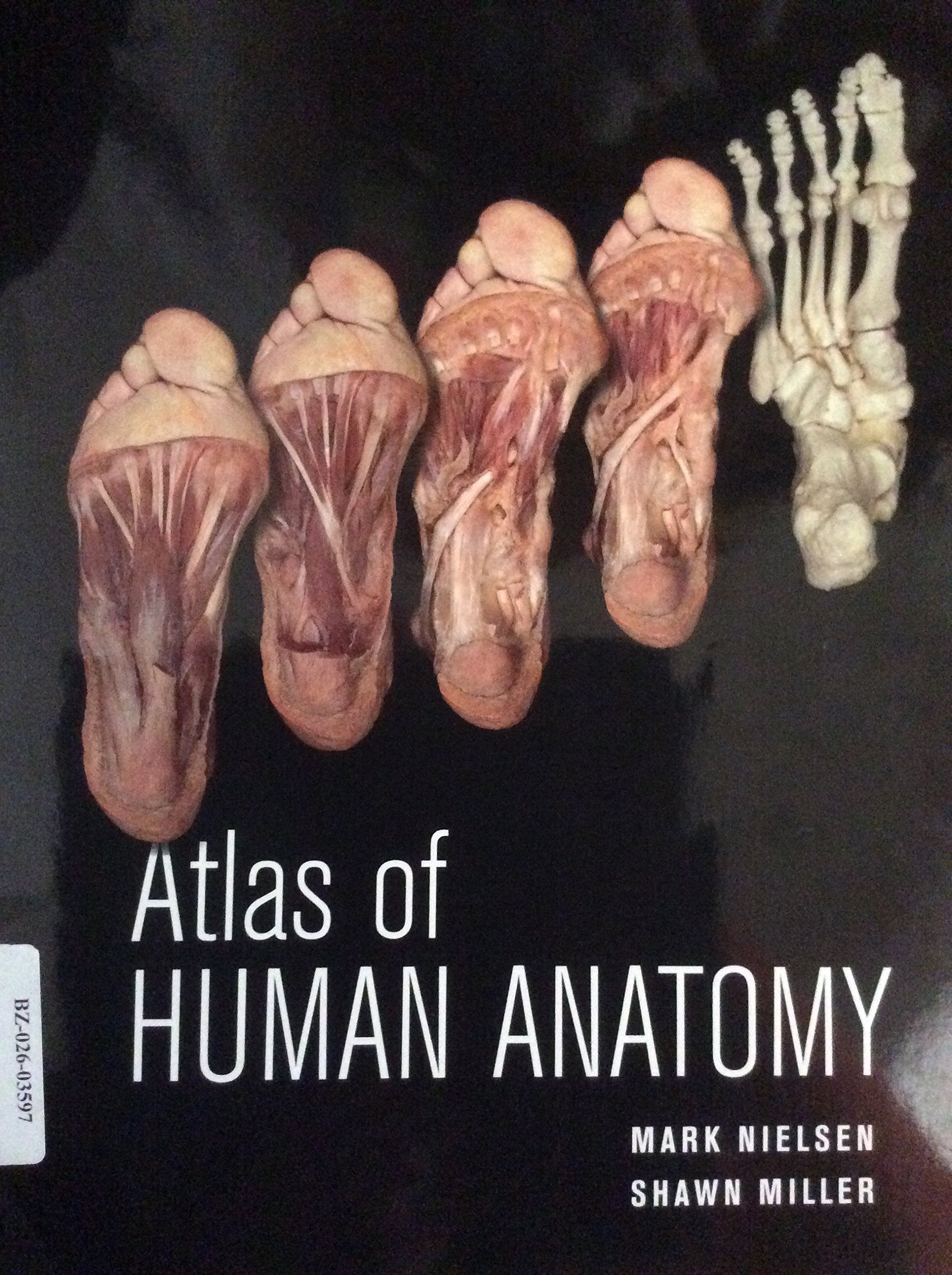 Atlas Of Human Anatomy,New
