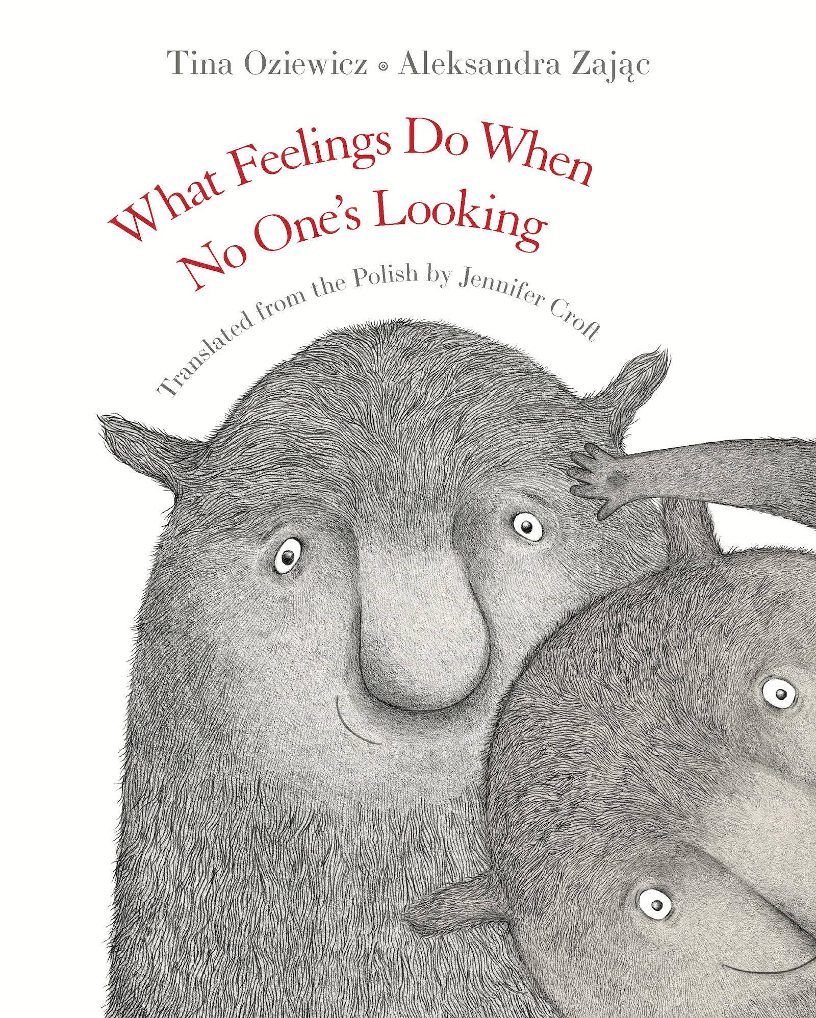 What Feelings Do When No Ones Looking,Used