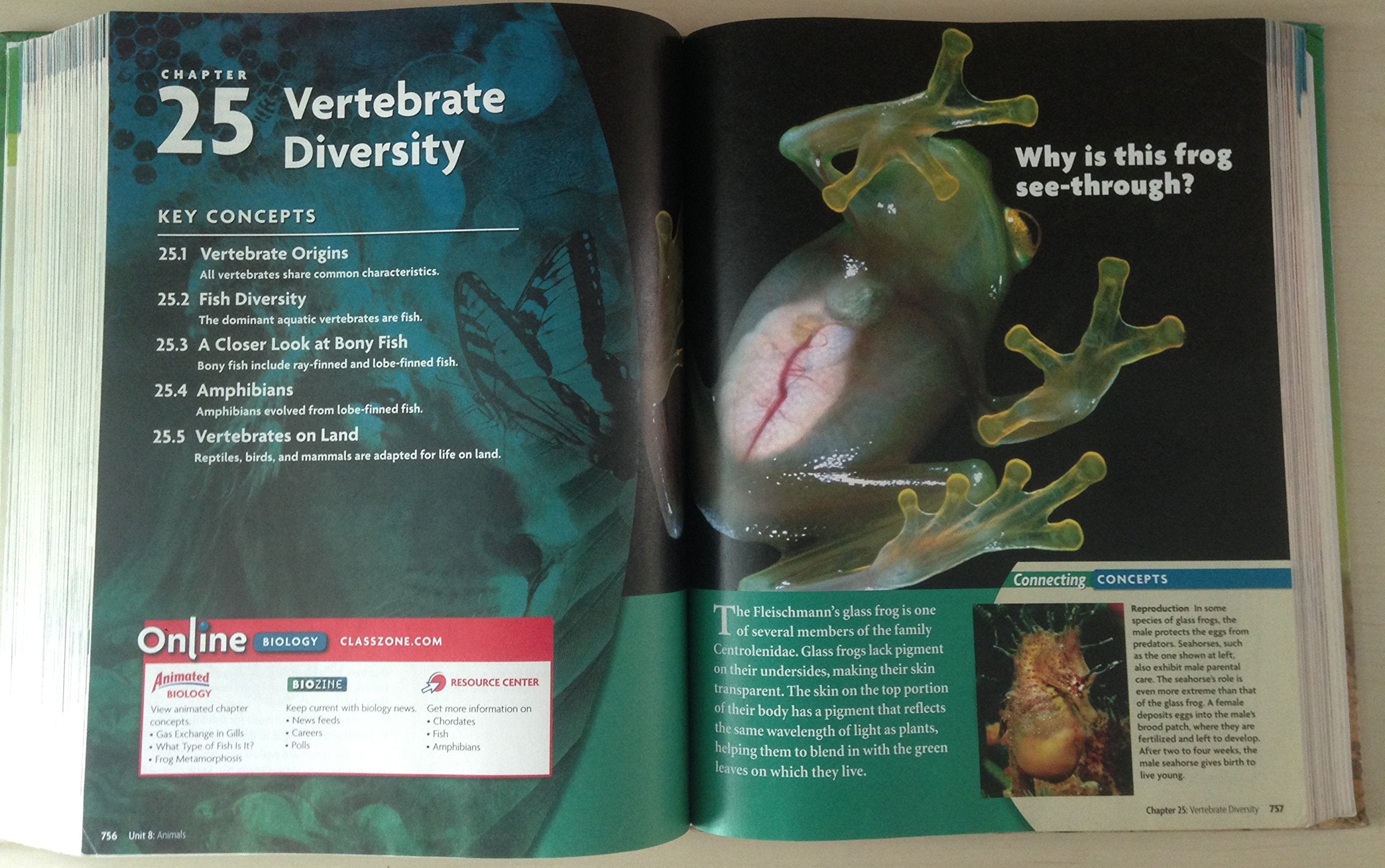 Biology California Student Edition (McDougal Littell Biology),Used