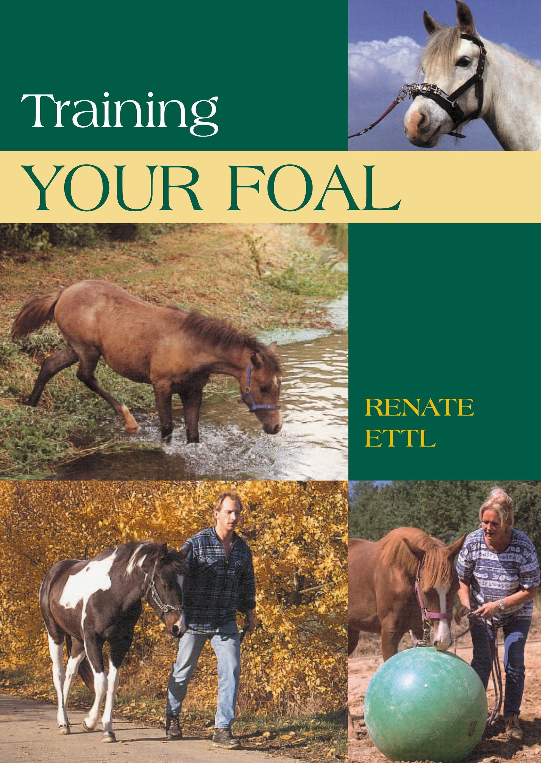 Training Your Foal,Used