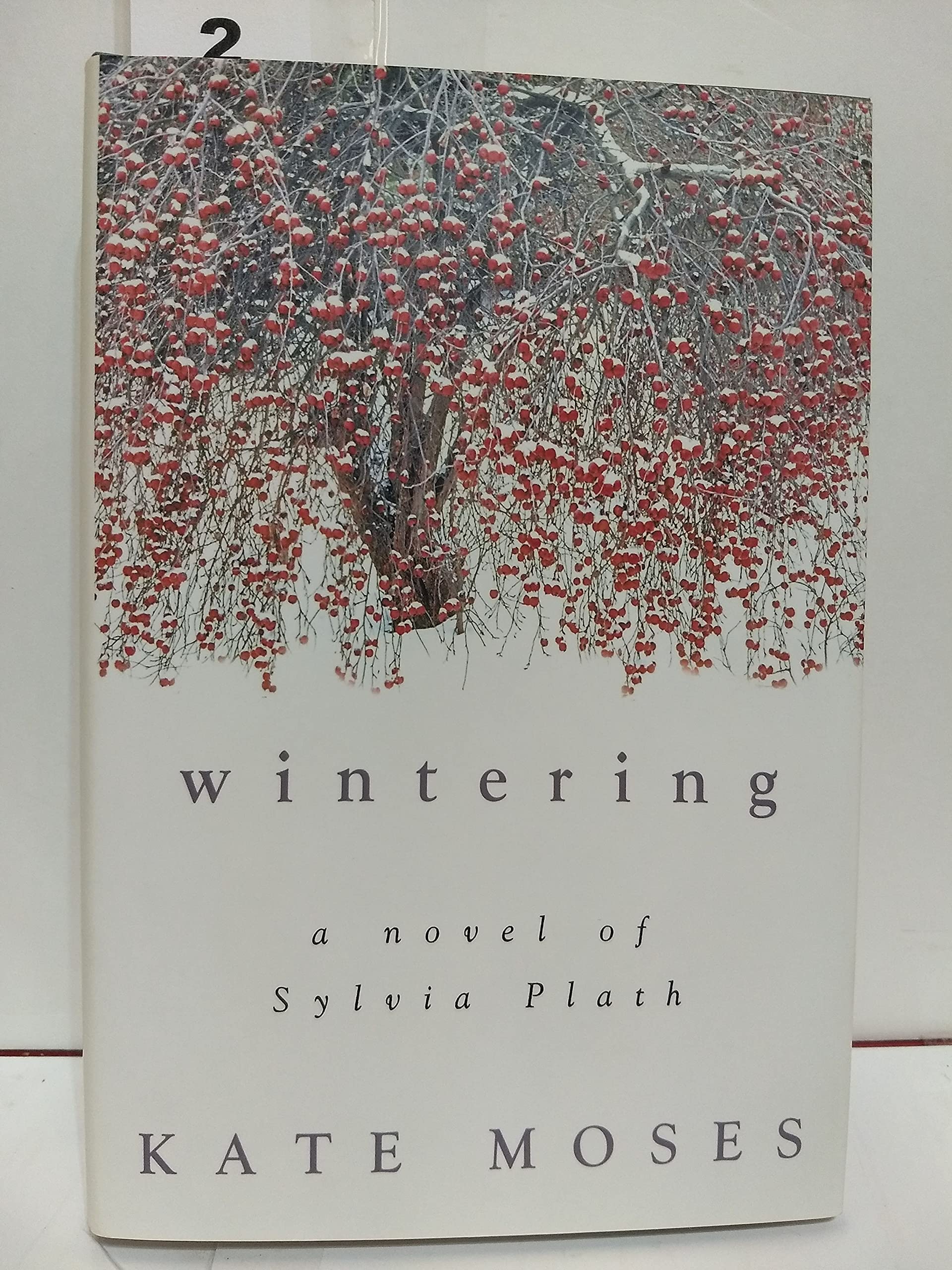 Wintering: A Novel of Sylvia Plath,Used