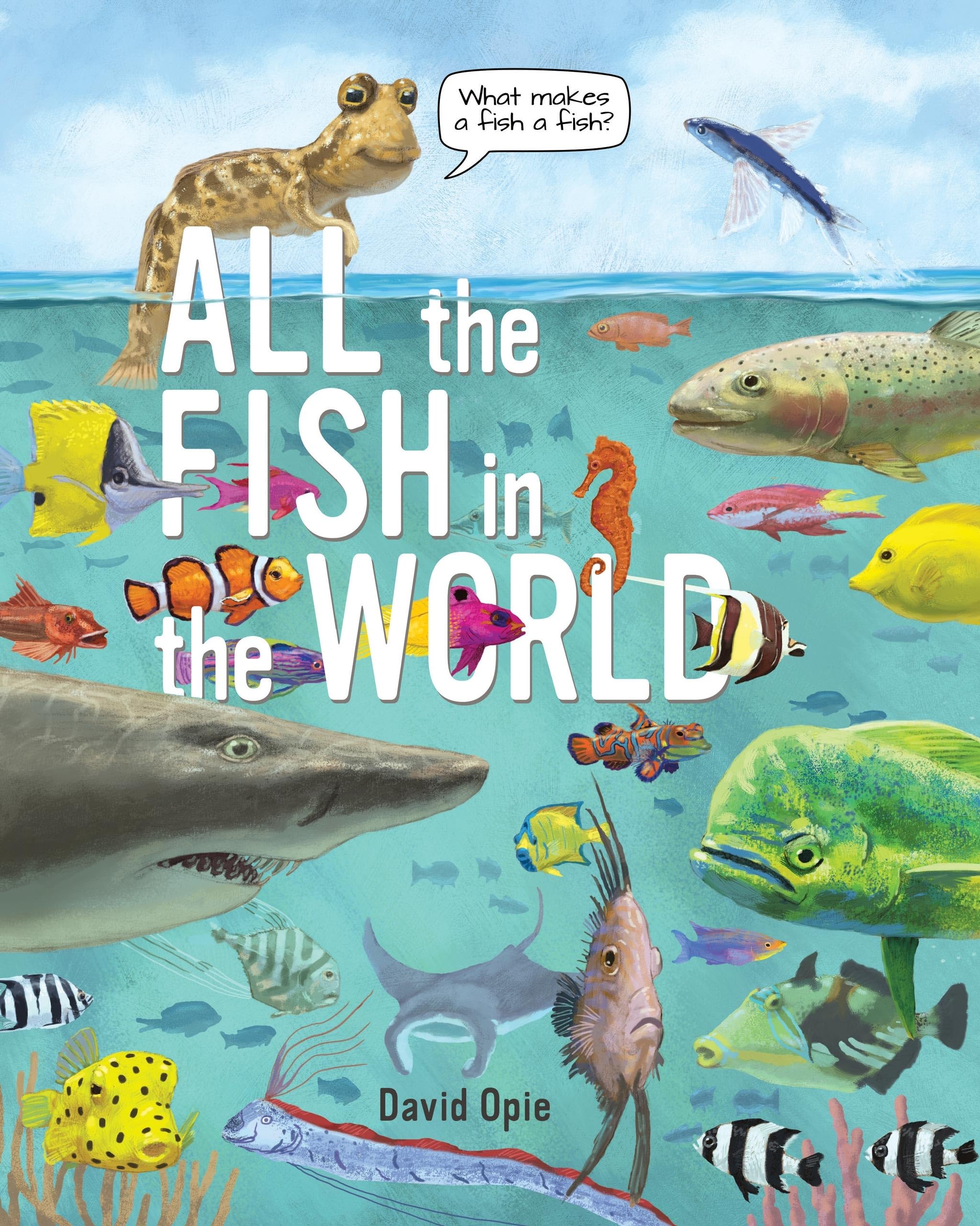 All the Fish in the World,Used