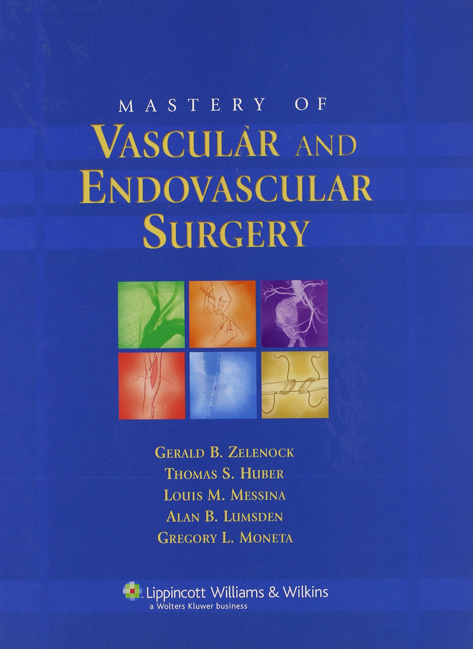 Mastery of Vascular And Endovascular Surgery (Mastery of Vascular and Endovascular Surgery (Zelenock)),New