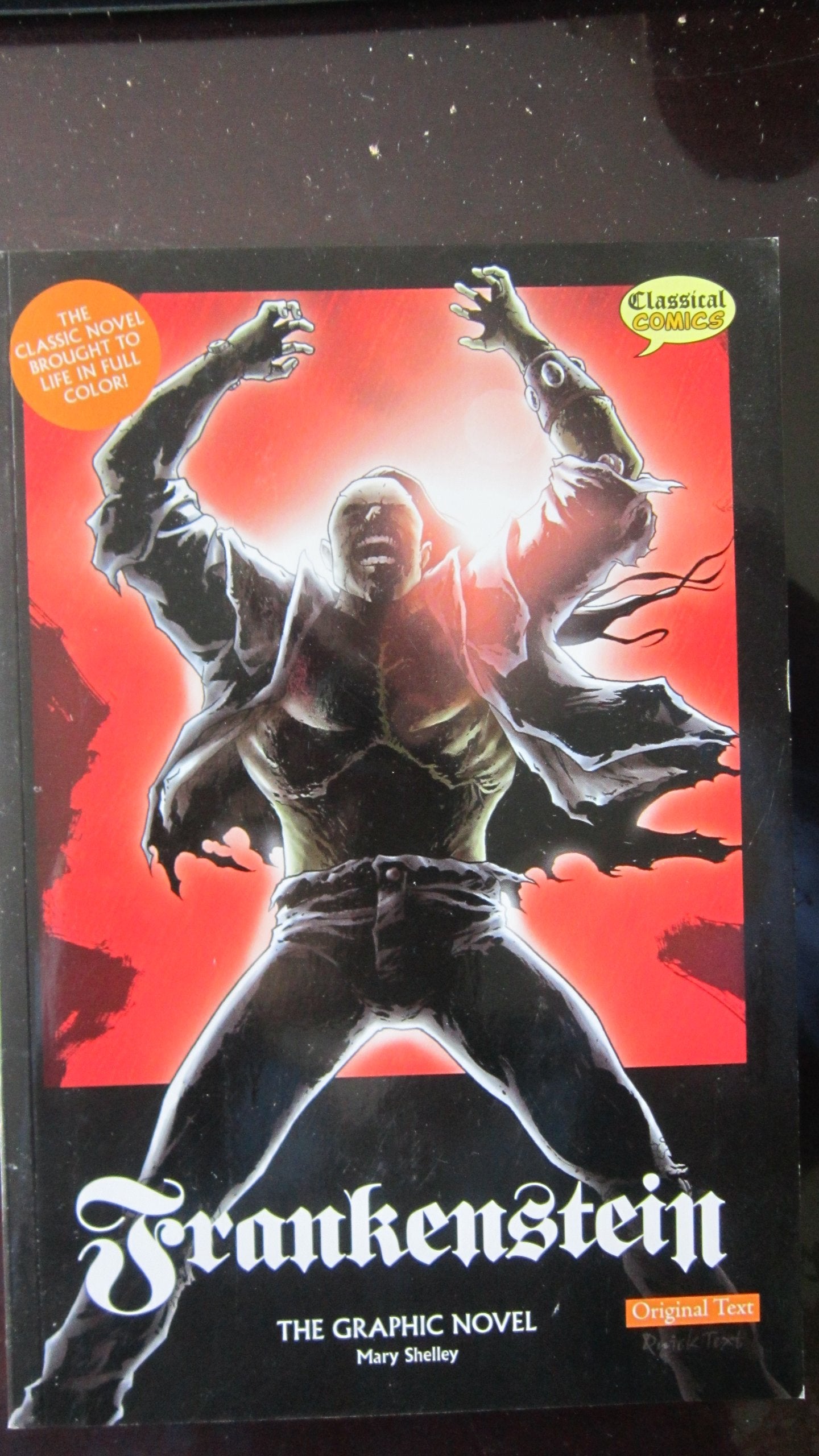 Frankenstein: The Graphic Novel (American English, Original Text),New