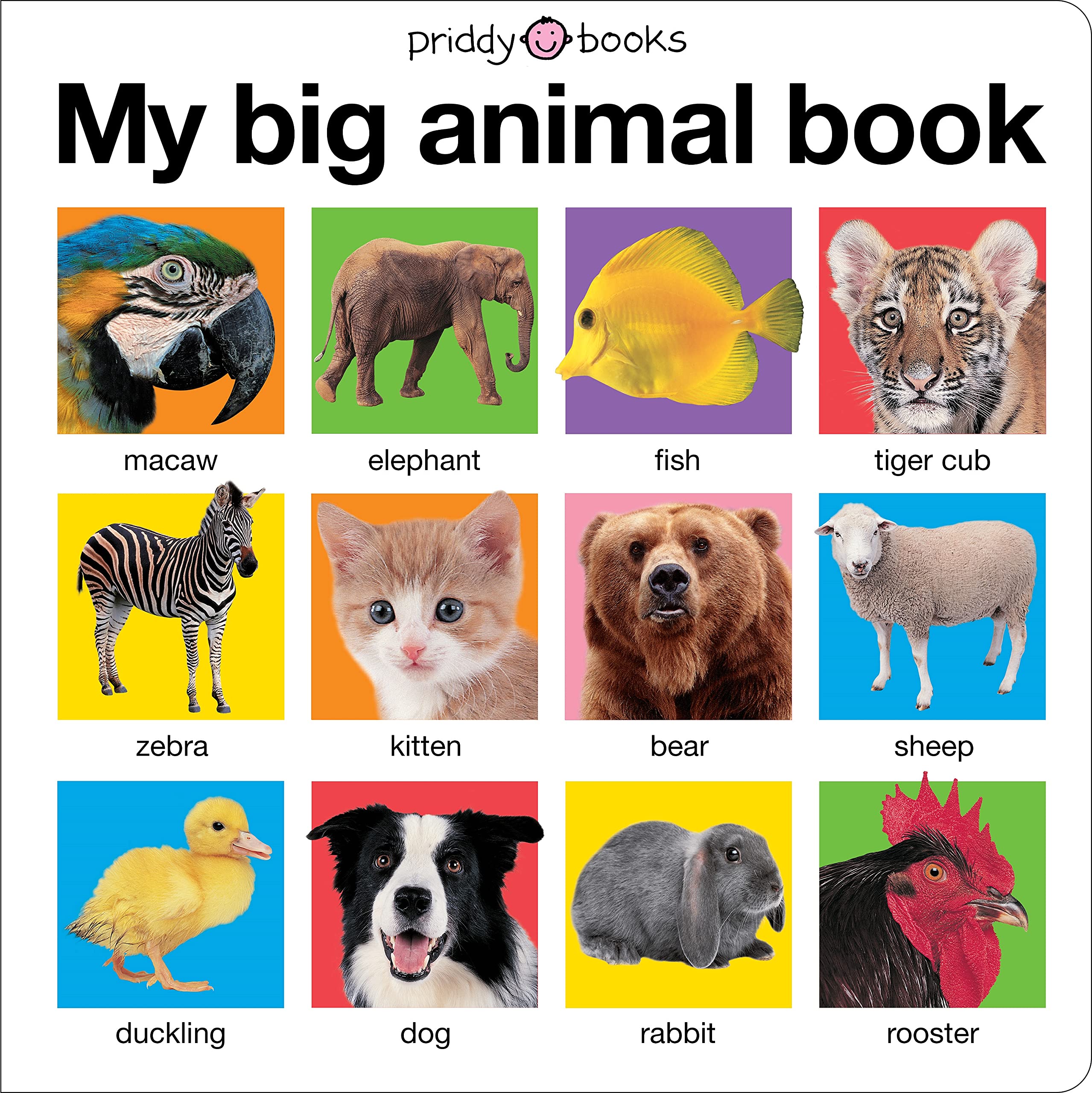 My Big Animal Book (My Big Board Books),New