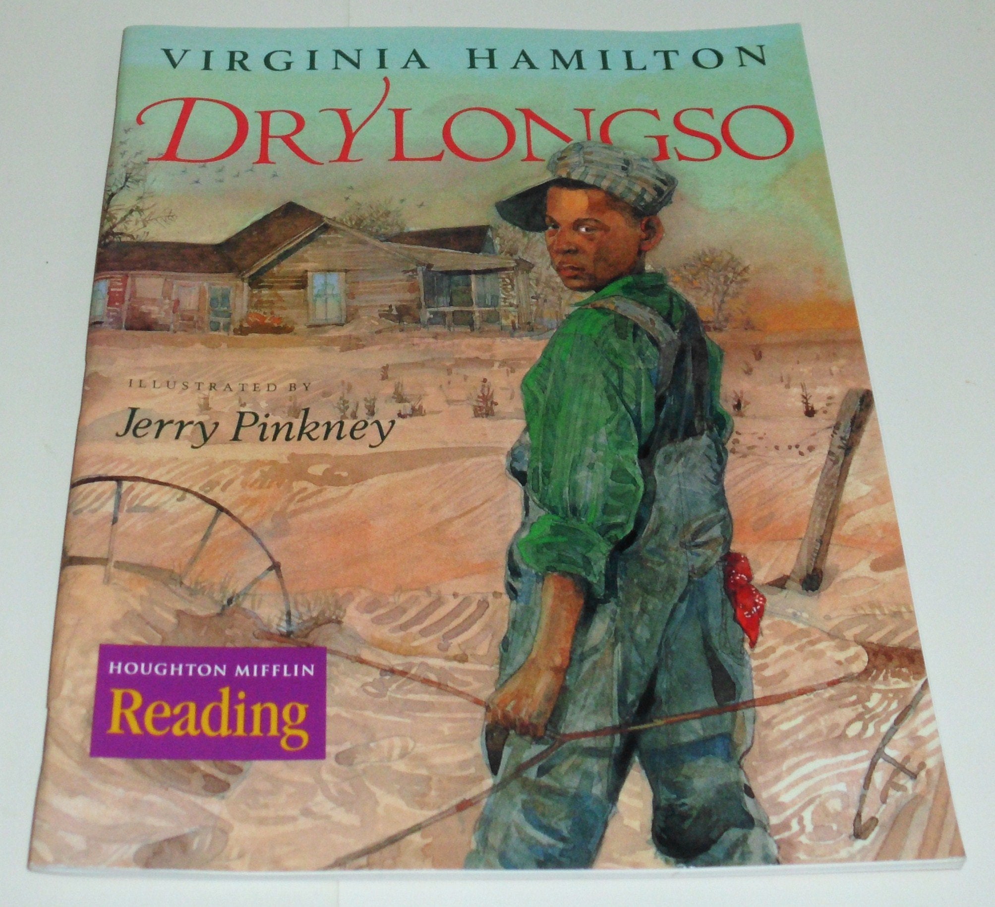 The Nation's Choice: Theme Paperbacks on Level Theme 1 Grade 5 Drylongso,Used