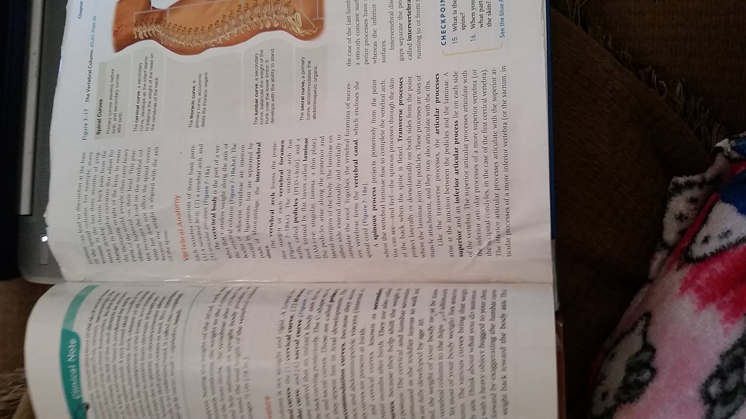 Fundamentals Of Anatomy & Physiology (10Th Edition),Used