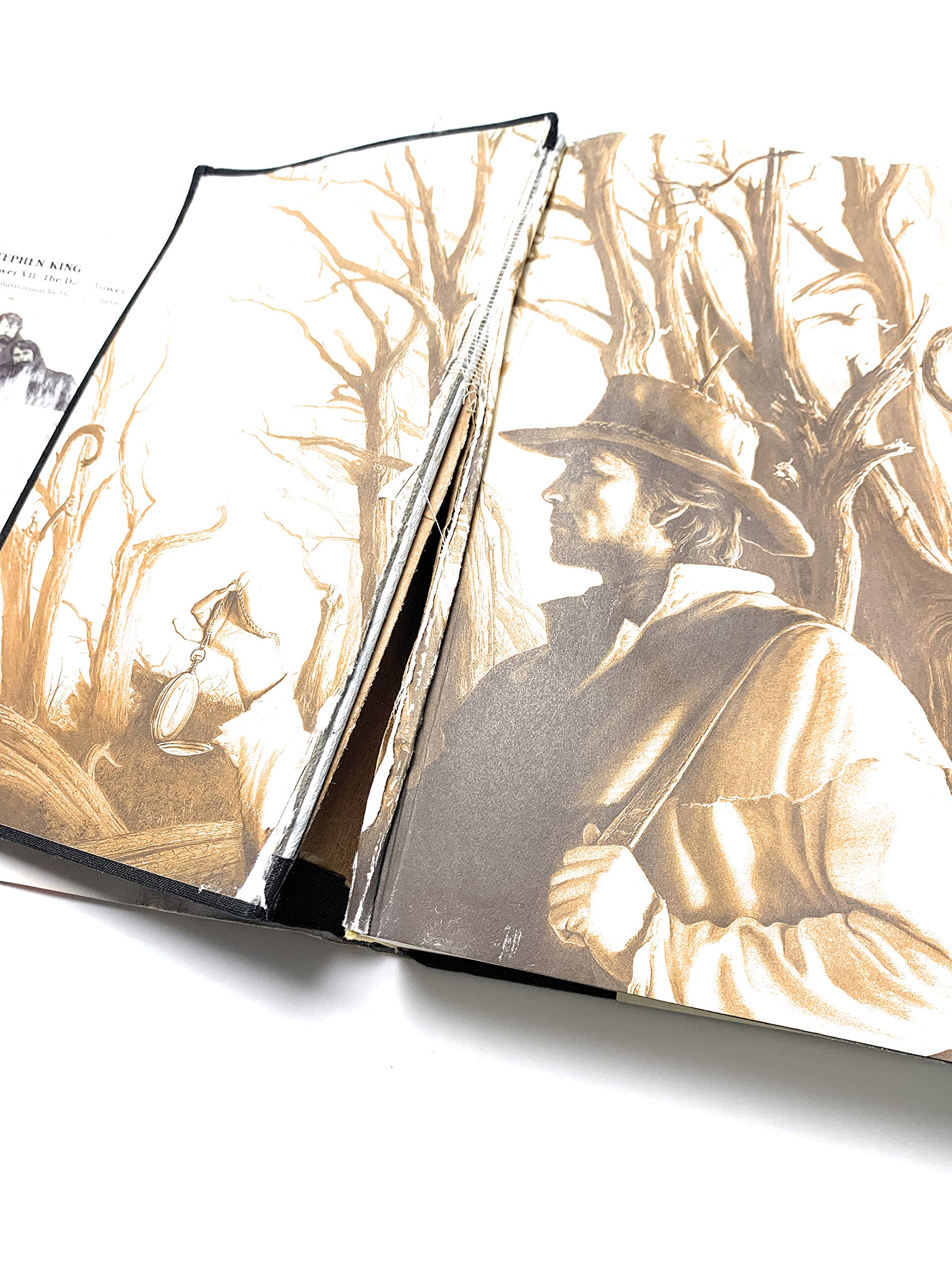 The Dark Tower (The Dark Tower, Book 7),New