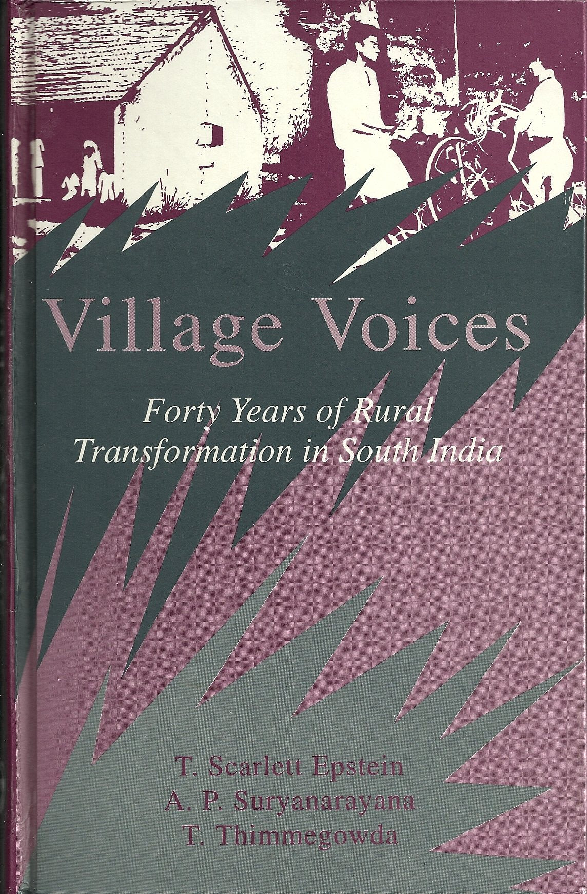 Village Voices: Forty Years of Rural Transformation in South India,New