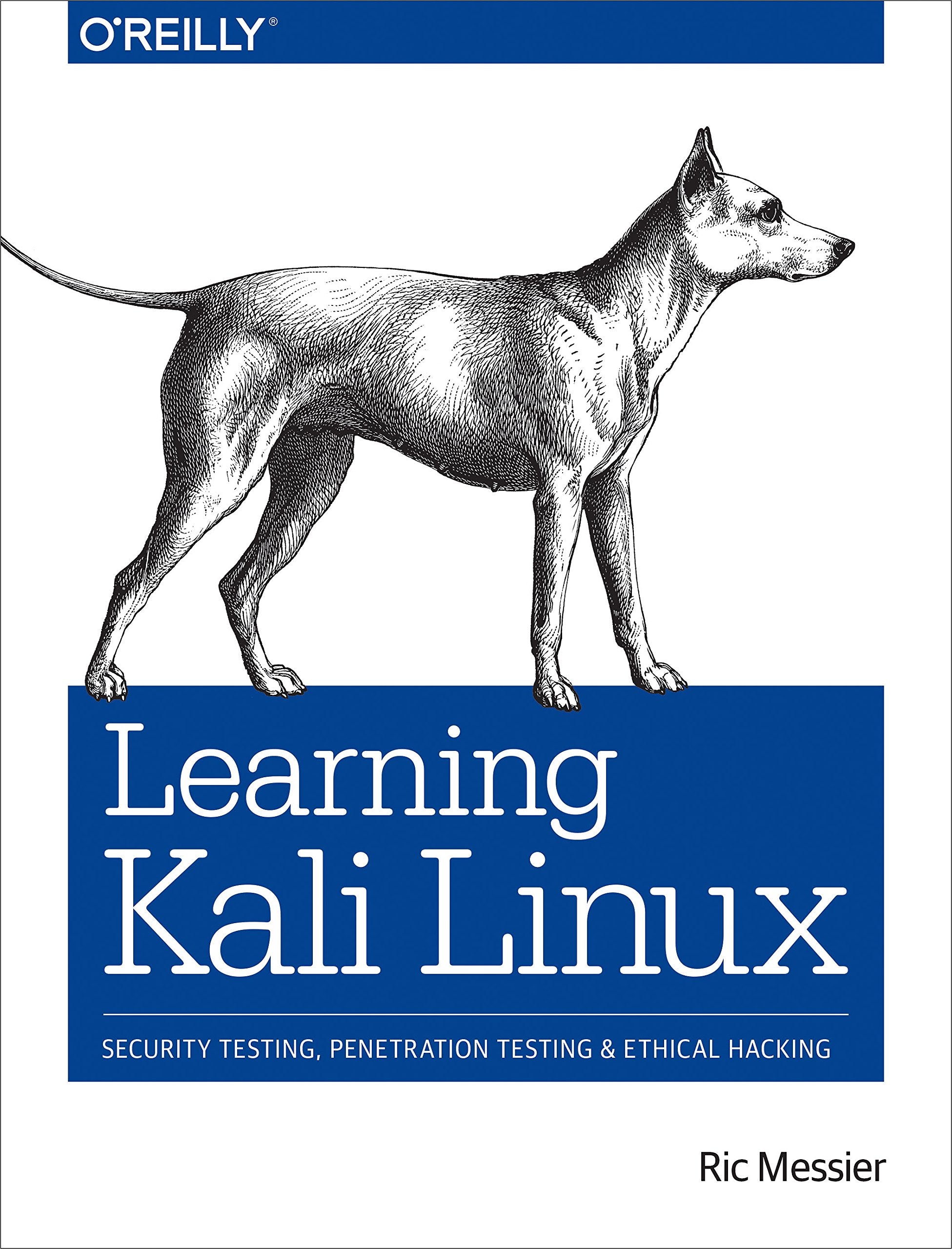 Learning Kali Linux: Security Testing, Penetration Testing, and Ethical Hacking,Used