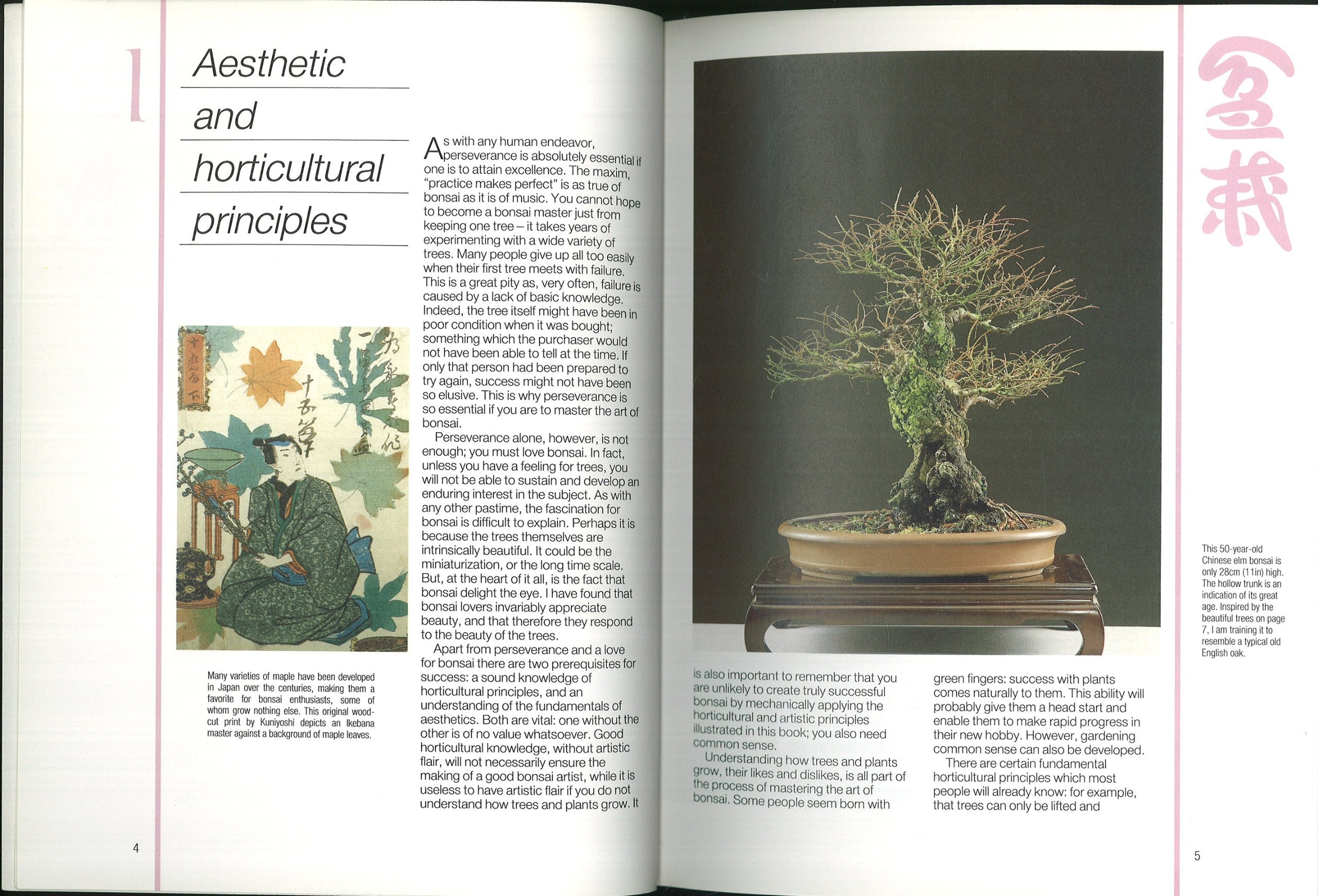 Bonsai Masterclass/All You Need to Know About Creating Bonsai from One of the World's Top Experts,New