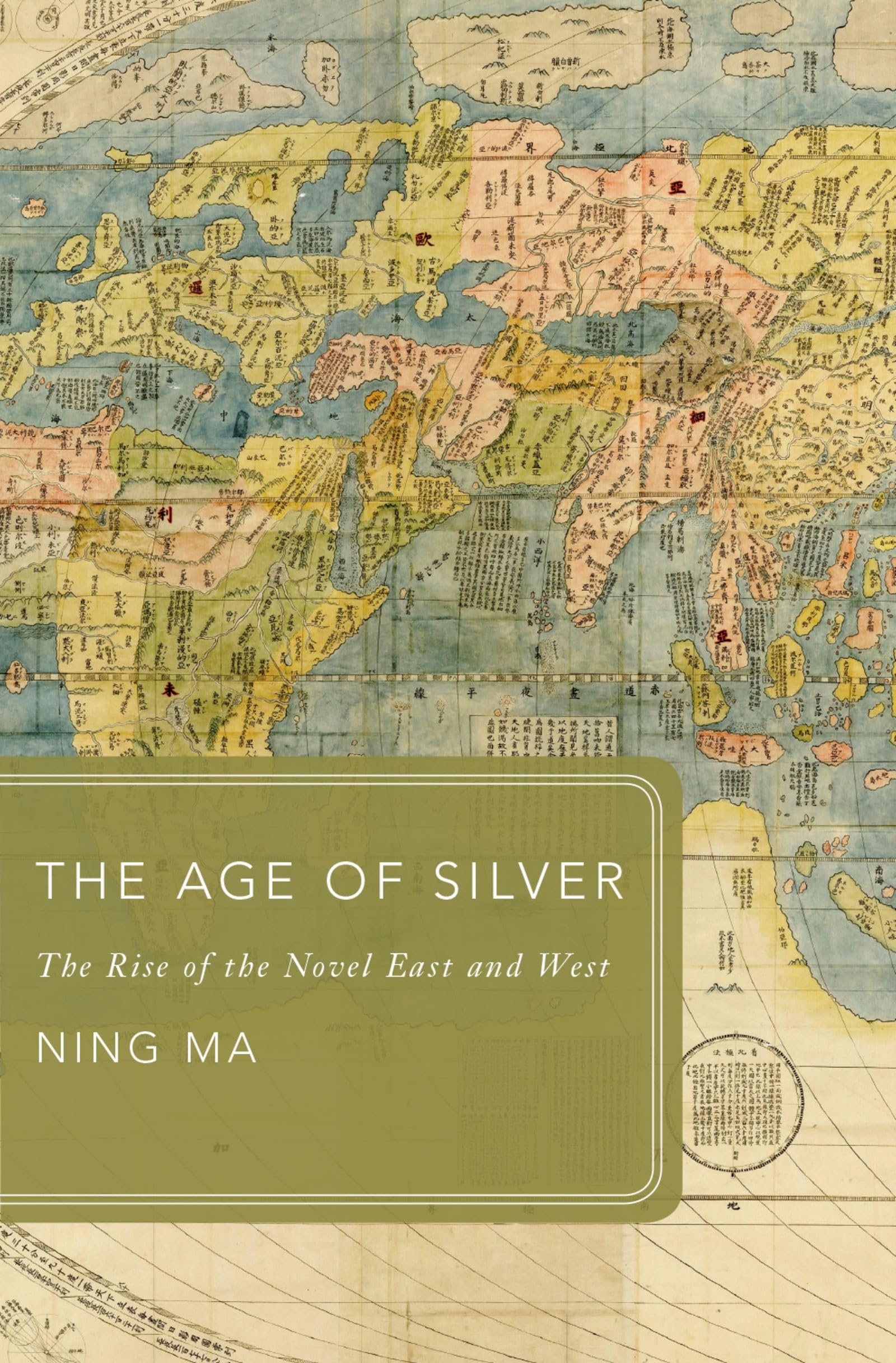 The Age of Silver: The Rise of the Novel East and West (Global Asias),Used