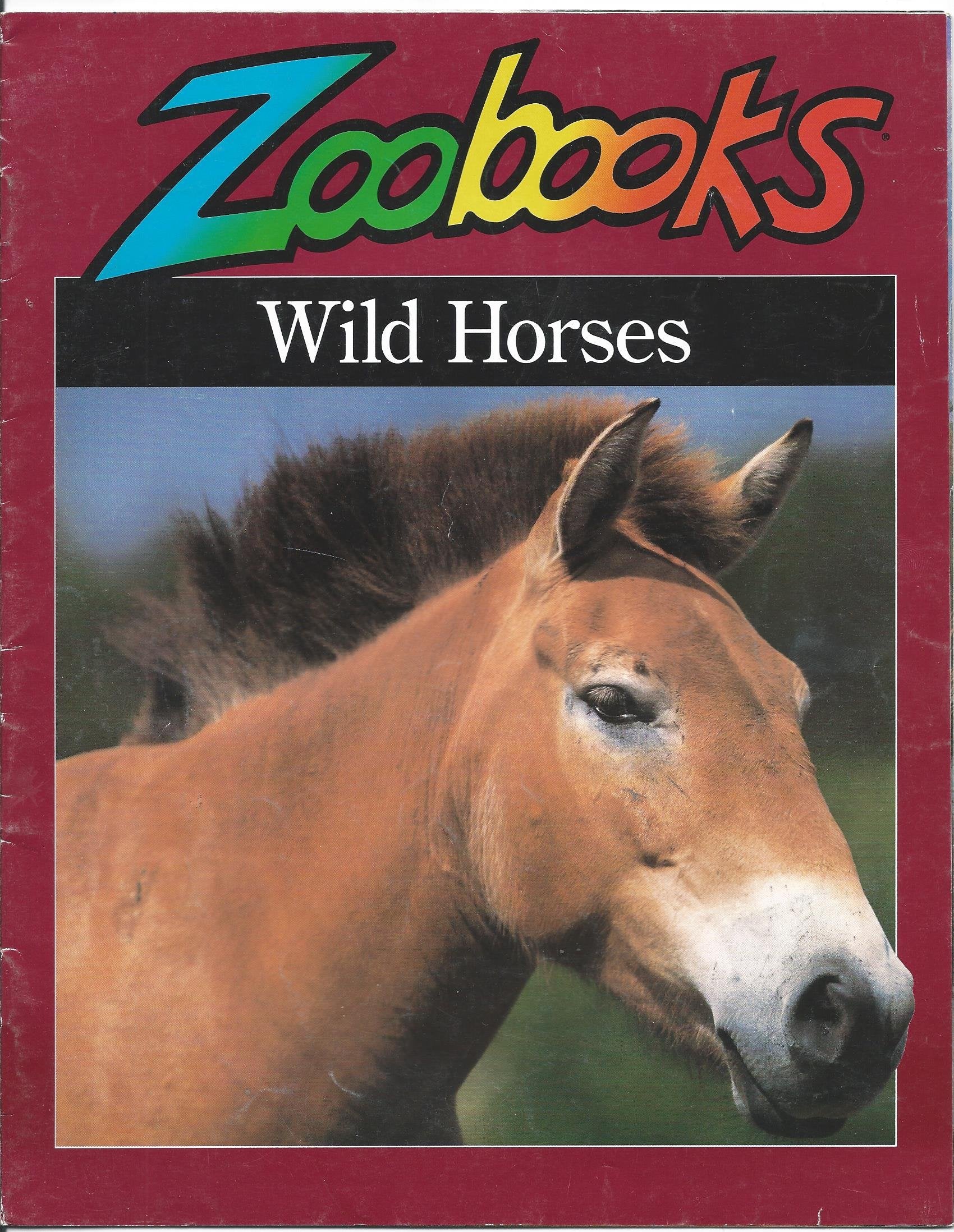 Wild Horses (Zoobooks Series),Used