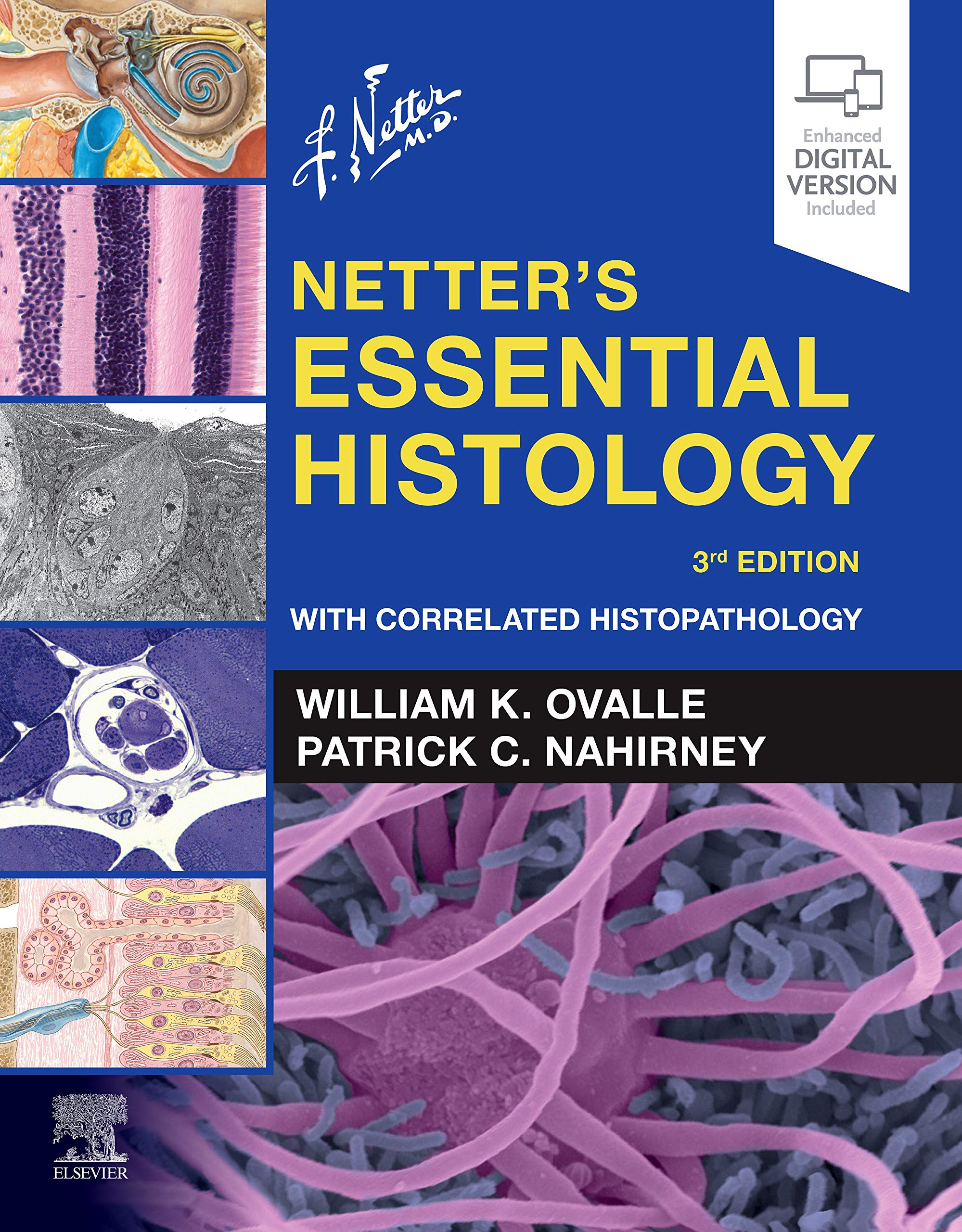 Netter's Essential Histology: With Correlated Histopathology (Netter Basic Science),Used