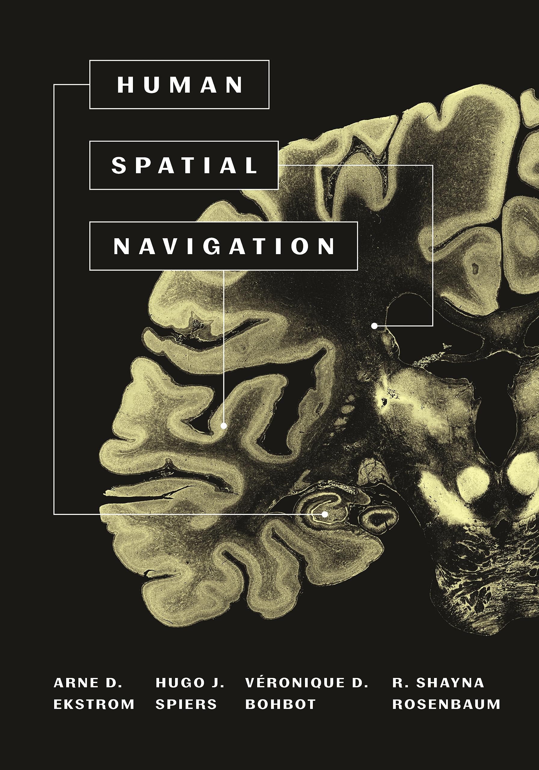 Human Spatial Navigation,Used