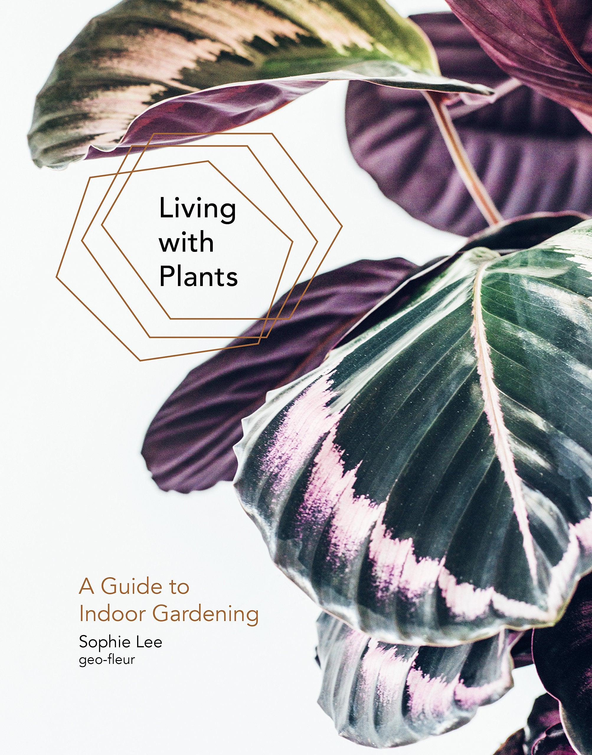Living with Plants: A Guide to Indoor Gardening,New