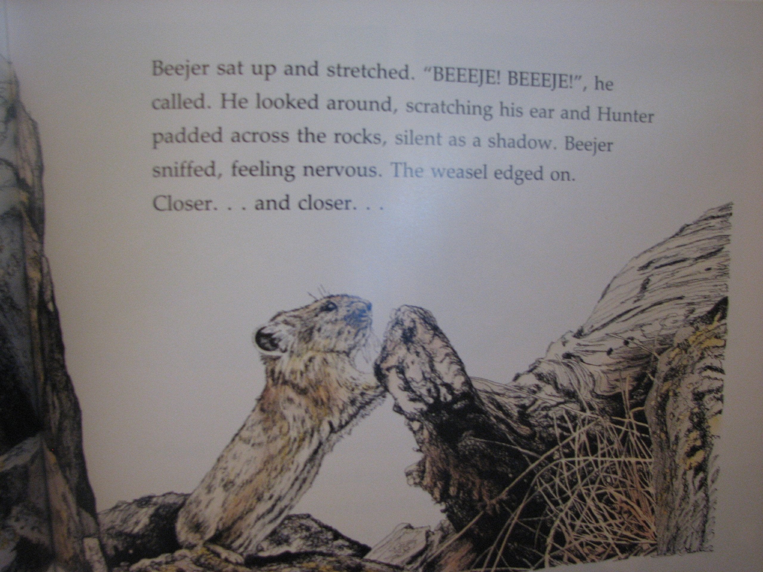 Pikas Tail: A Childrens Story About Mountain Wildlife,Used