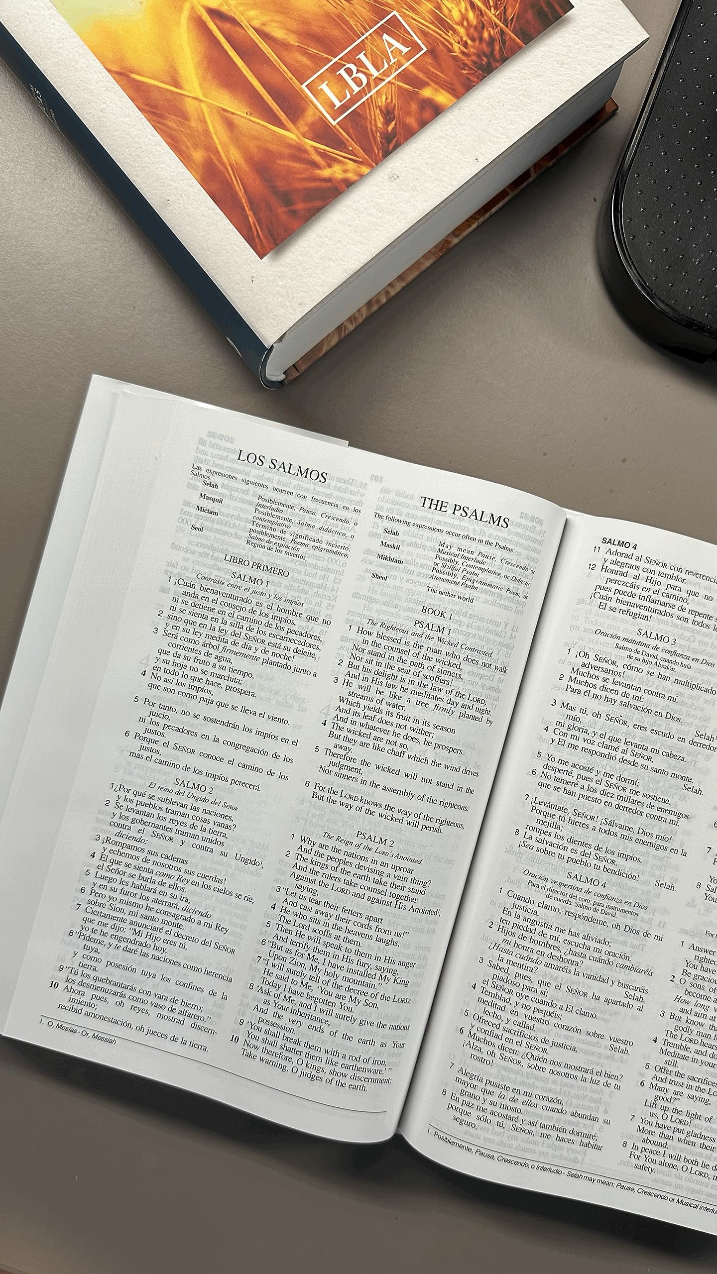 NASB/LBLA, Bilingual Bible, Hardcover / NASB/LBLA, Biblia Bilinge, Tapa dura (Spanish Edition),Used
