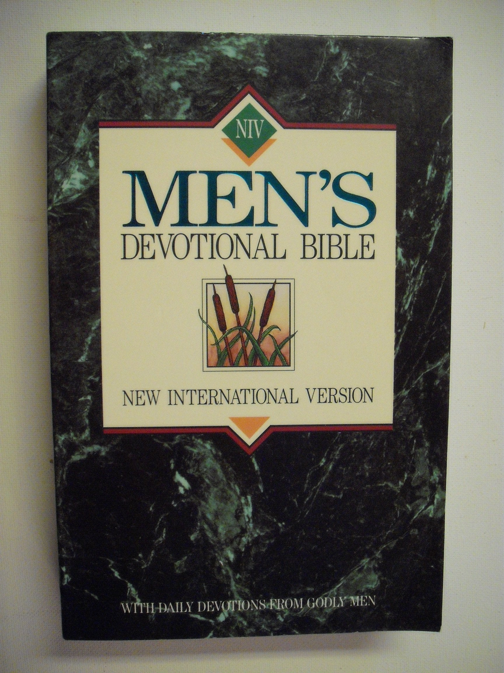 Men's Devotional Bible: New International Version,Used