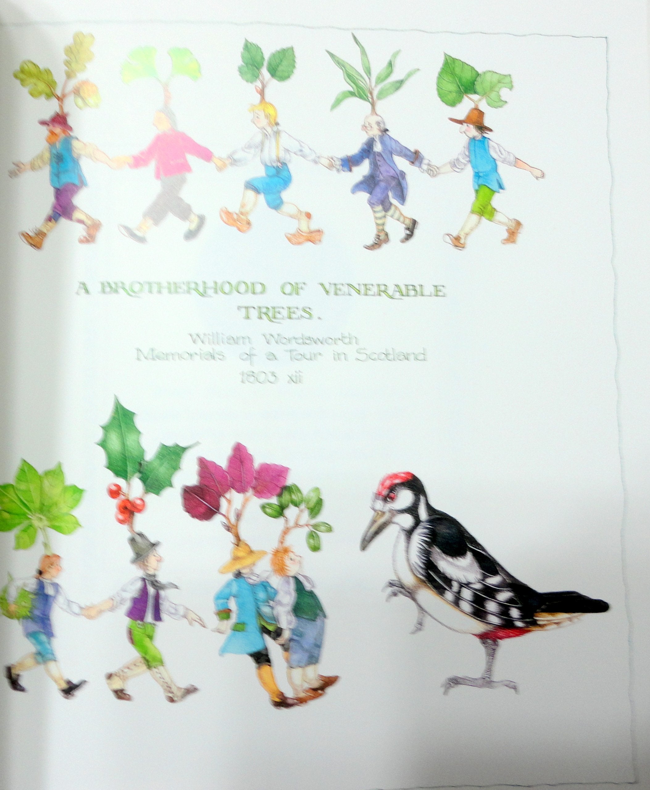 The Little Green Book,New