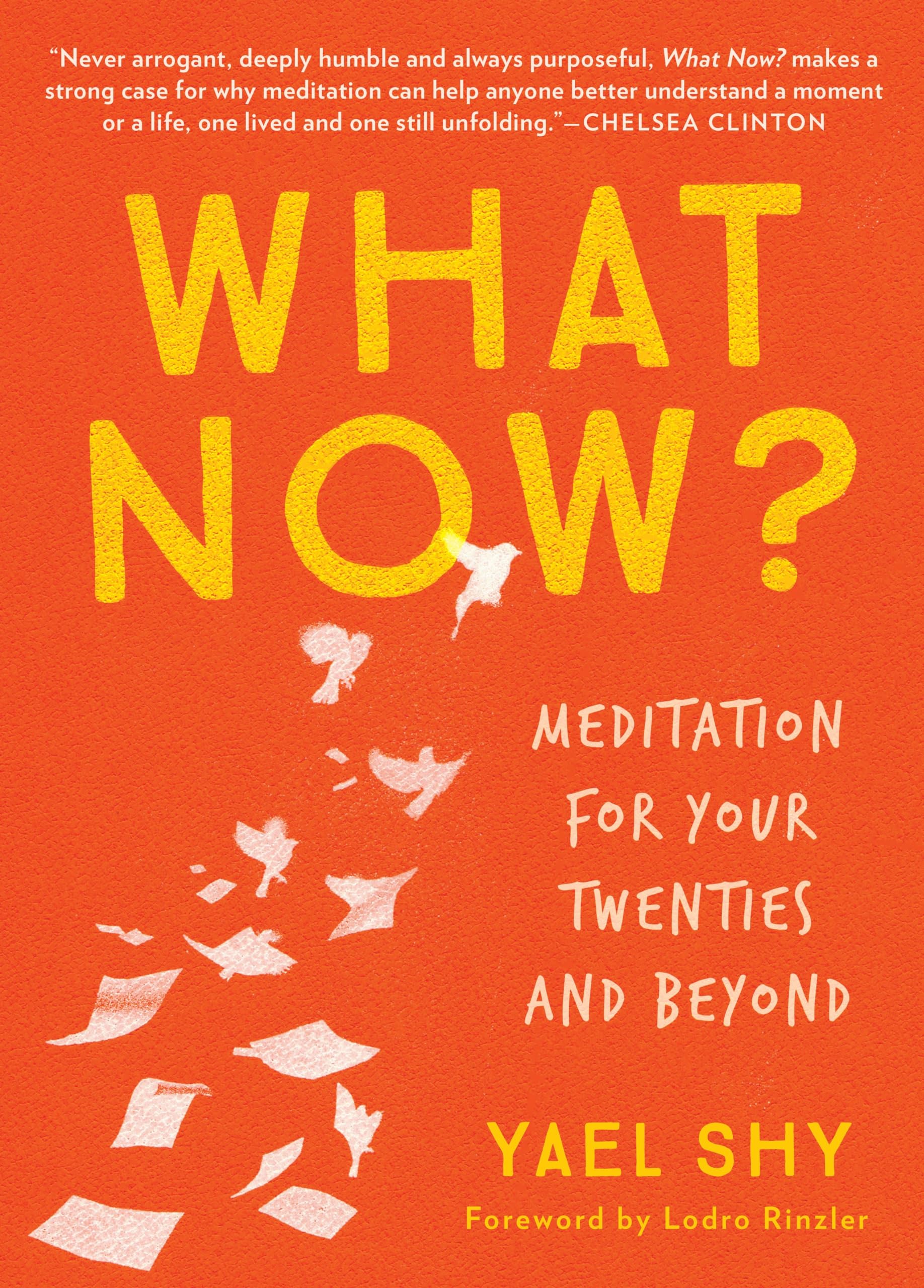 What Now?: Meditation for Your Twenties and Beyond,Used