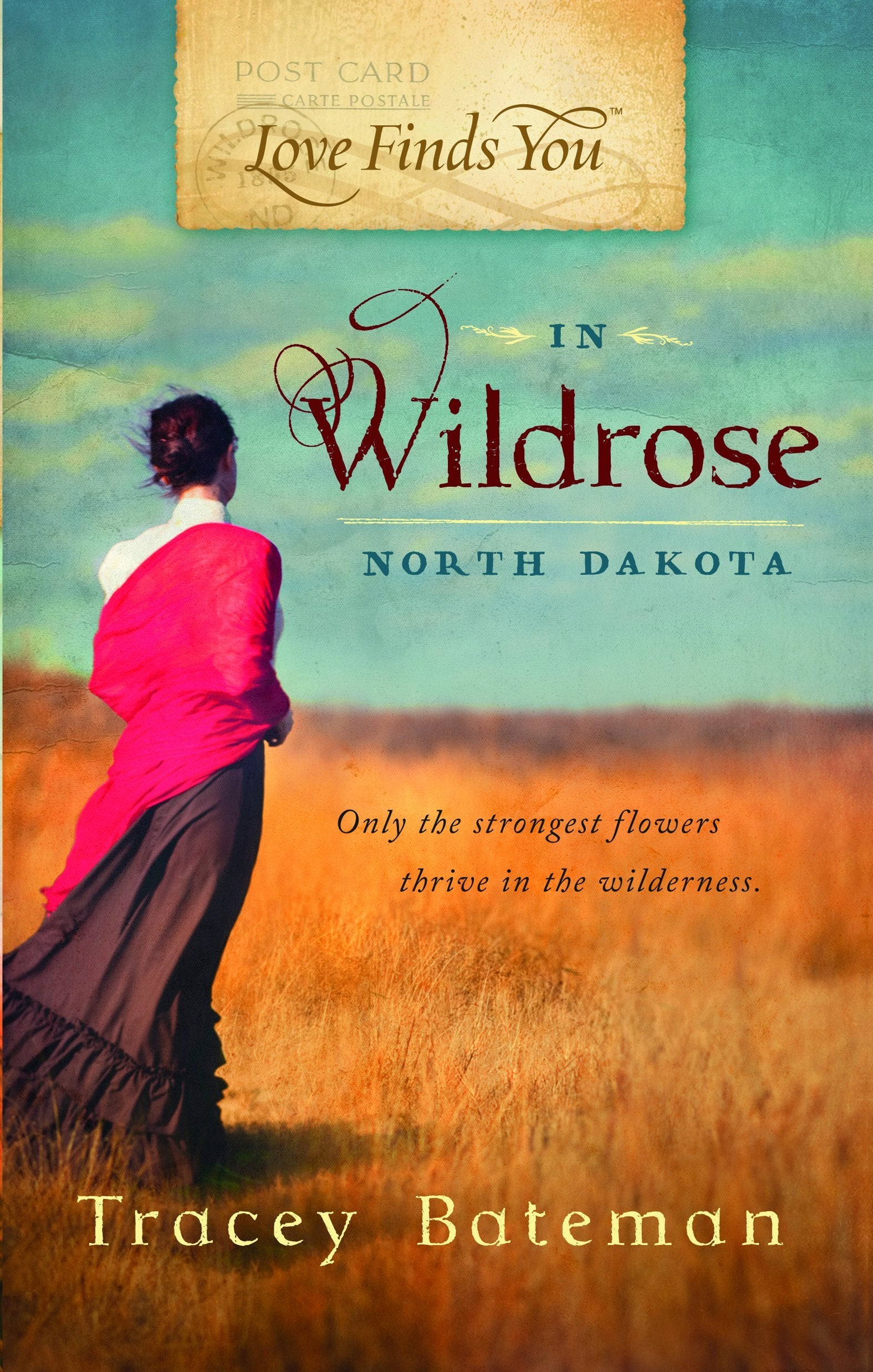 Love Finds You in Wildrose, North Dakota,Used