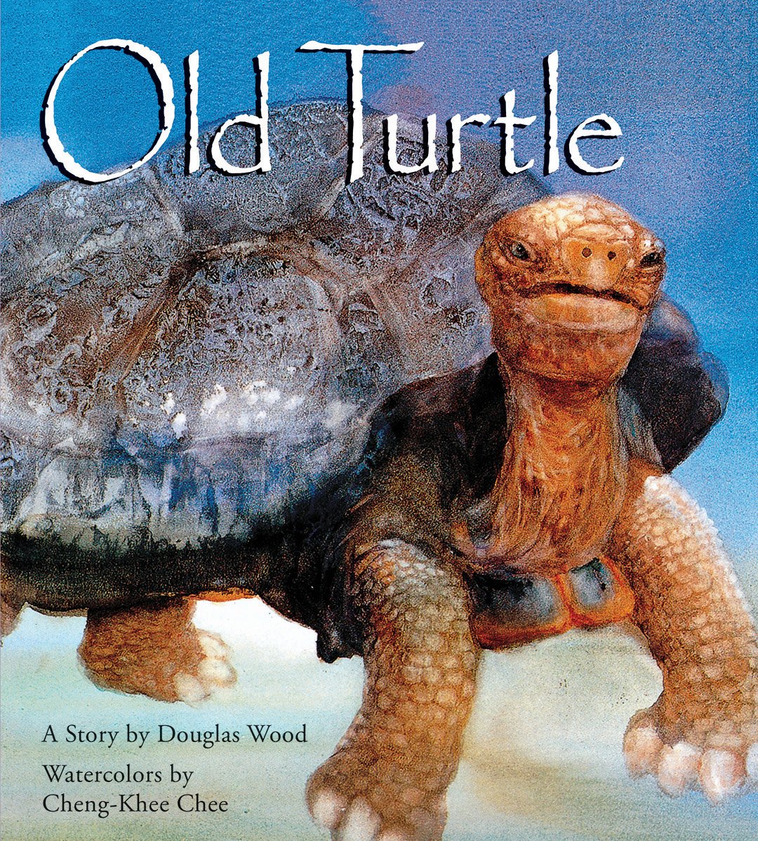 Old Turtle (Lessons Of Old Turtle),New