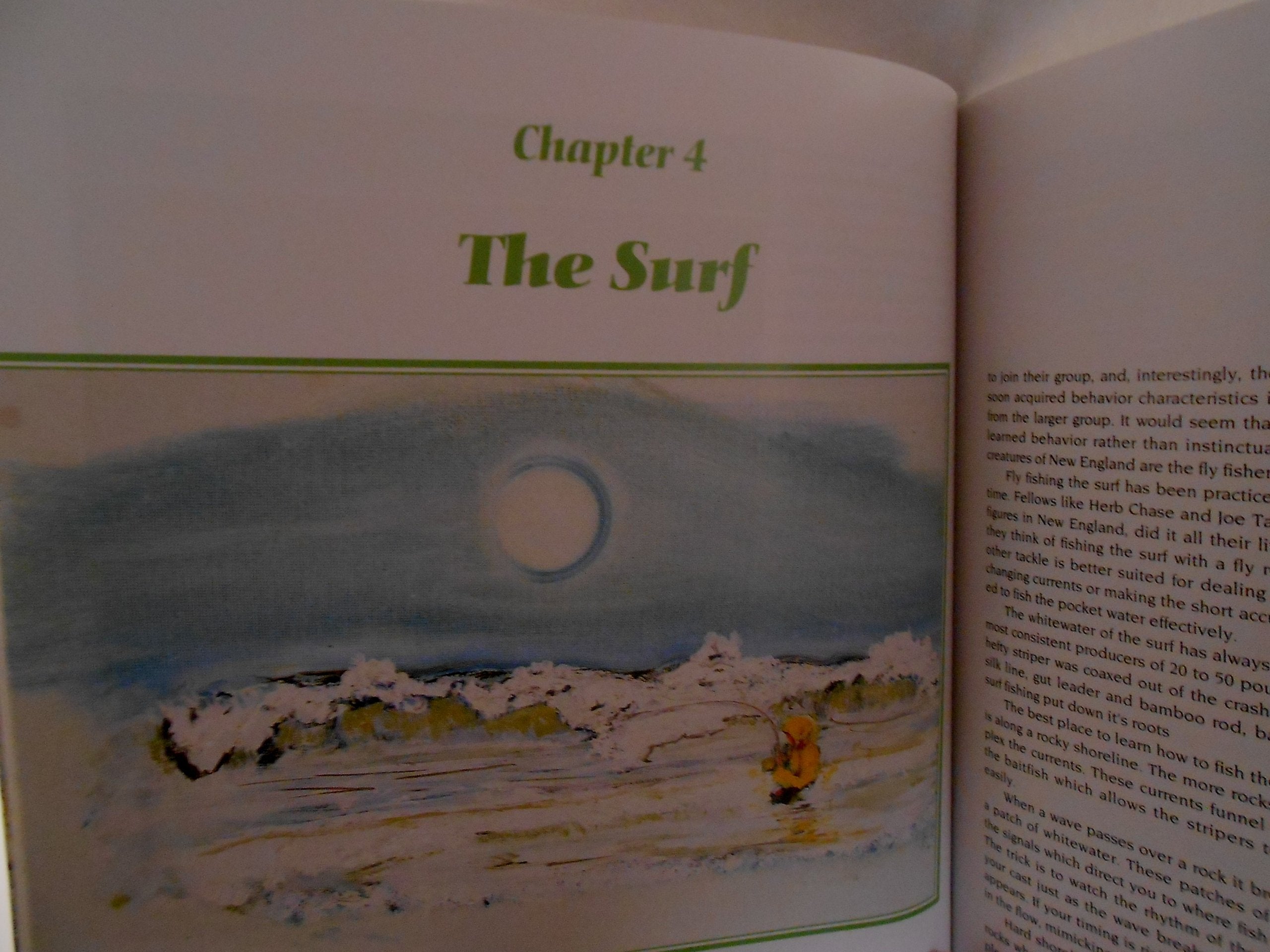 The Striper Moon,Used