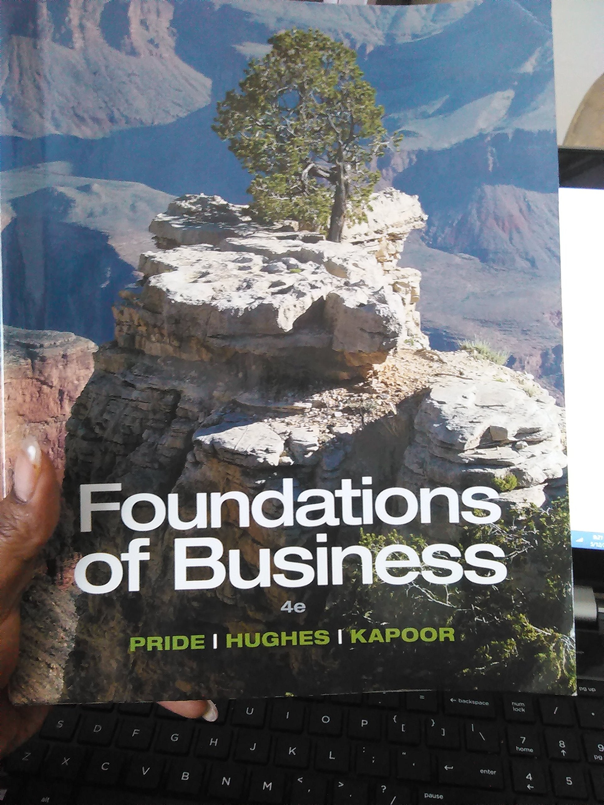 Foundations of Business Standalone book,Used