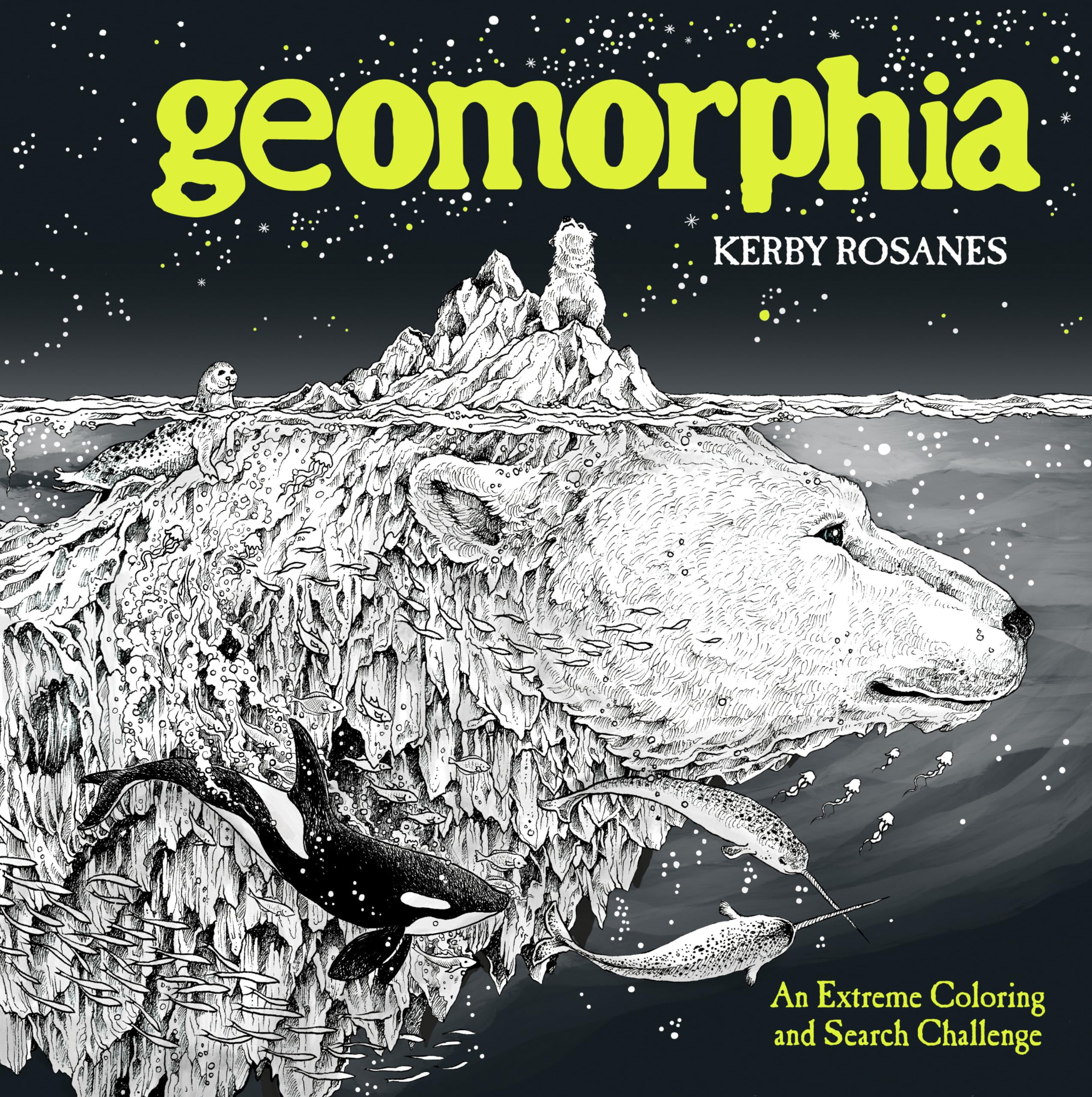 Geomorphia: An Extreme Coloring And Search Challenge,Used