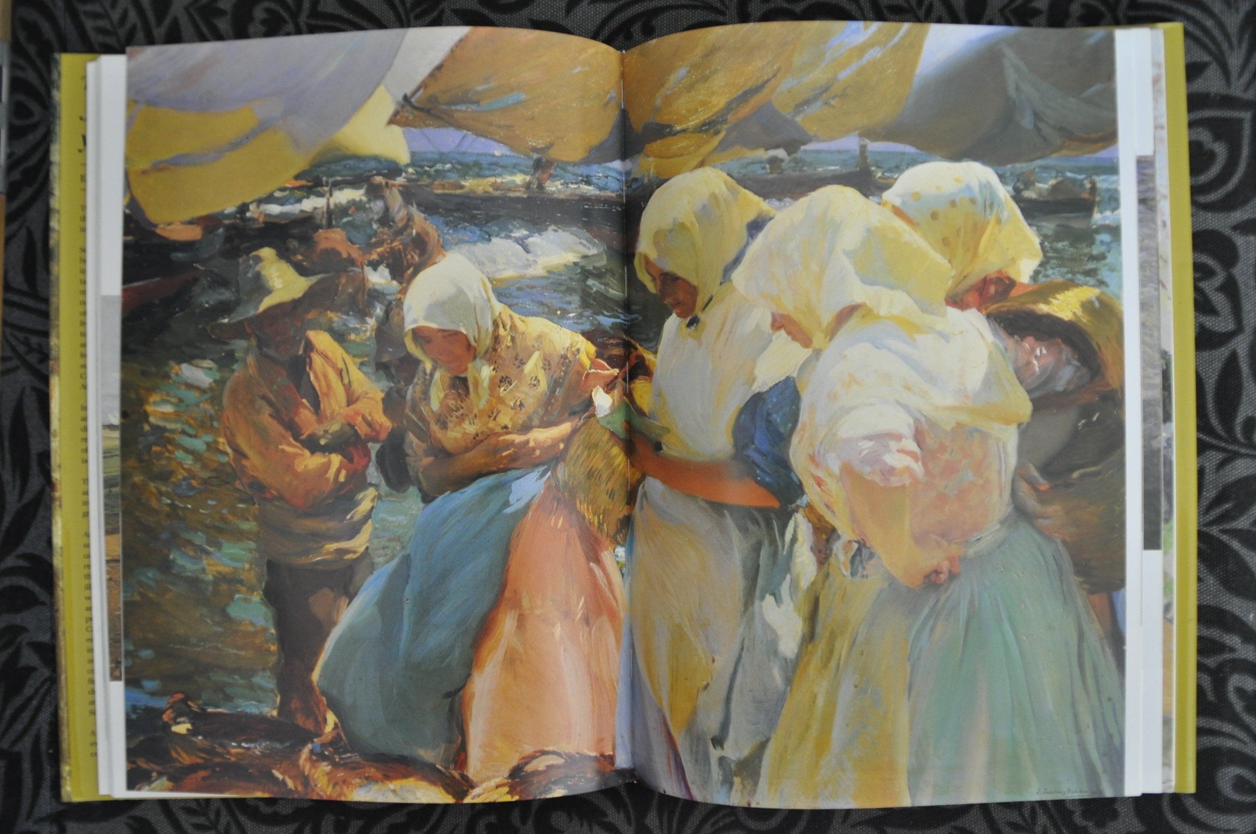 The Painter: Joaquin Sorolla Y Bastida,Used