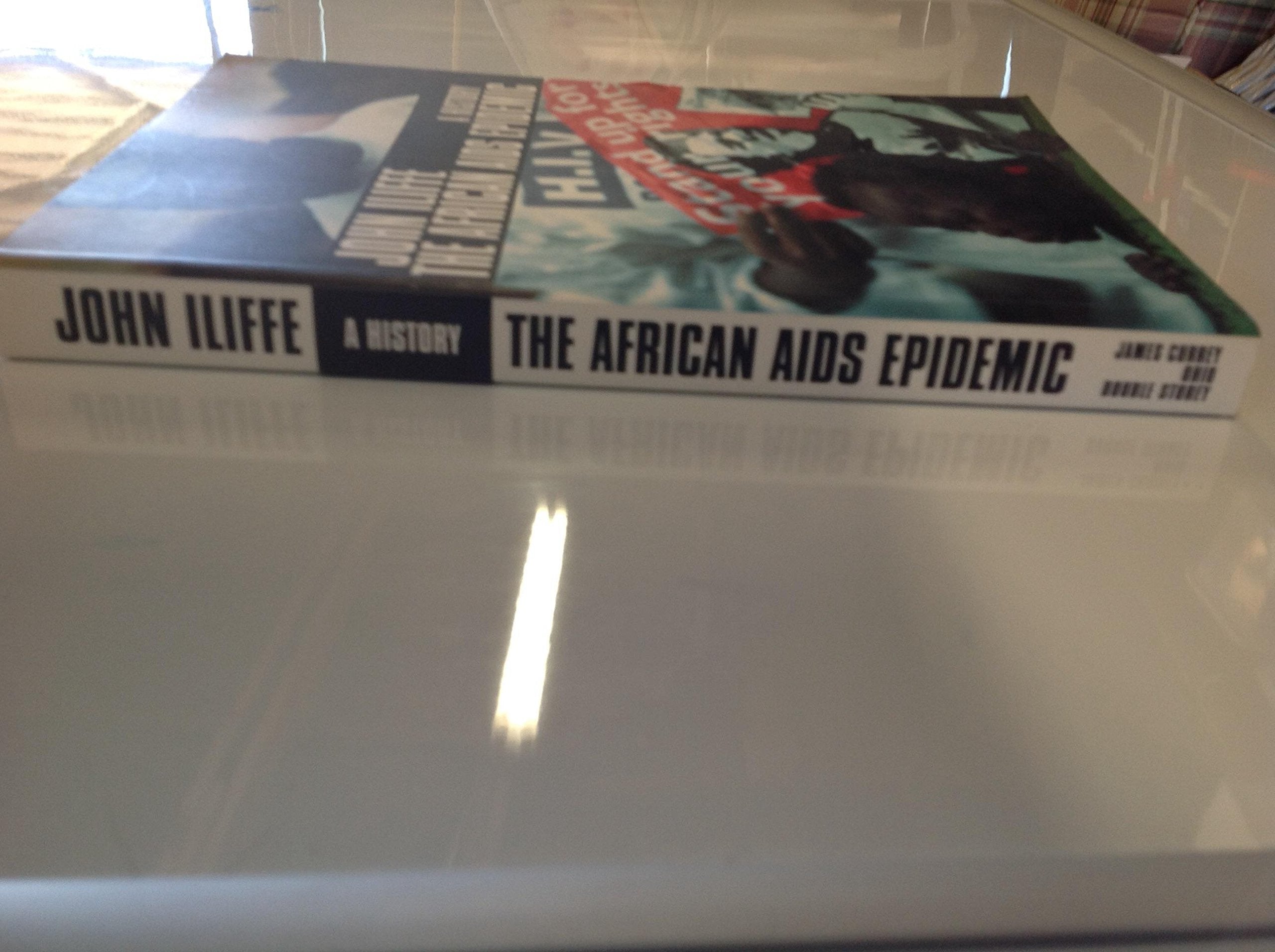 The African Aids Epidemic: A History,Used