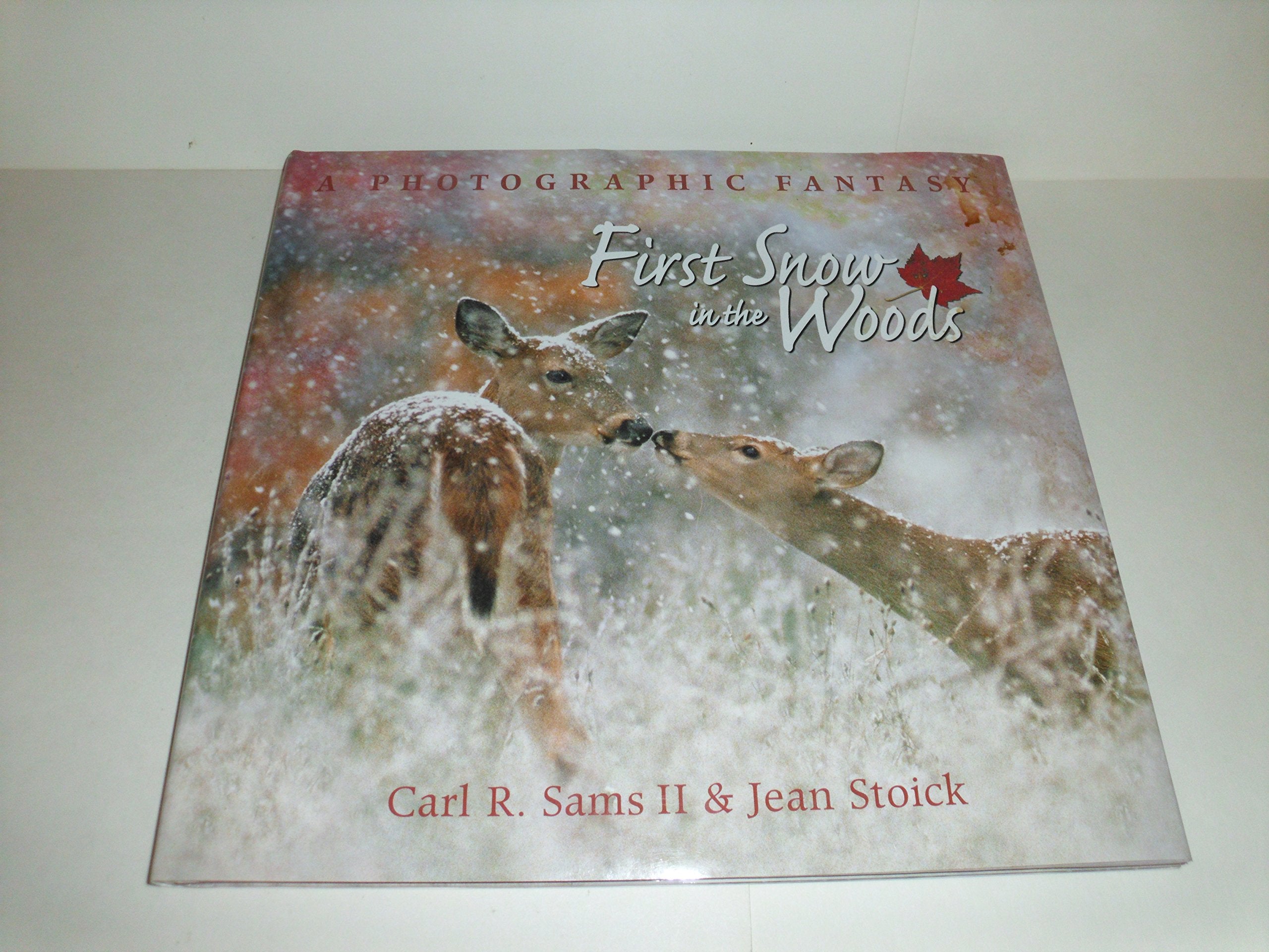 First Snow In The Woods: A Photographic Fantasy,New