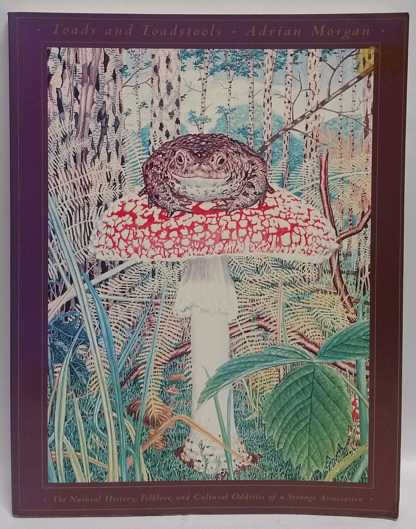Toads and Toadstools: The Natural History, Mythology and Cultural Oddities of This Strange Association,Used
