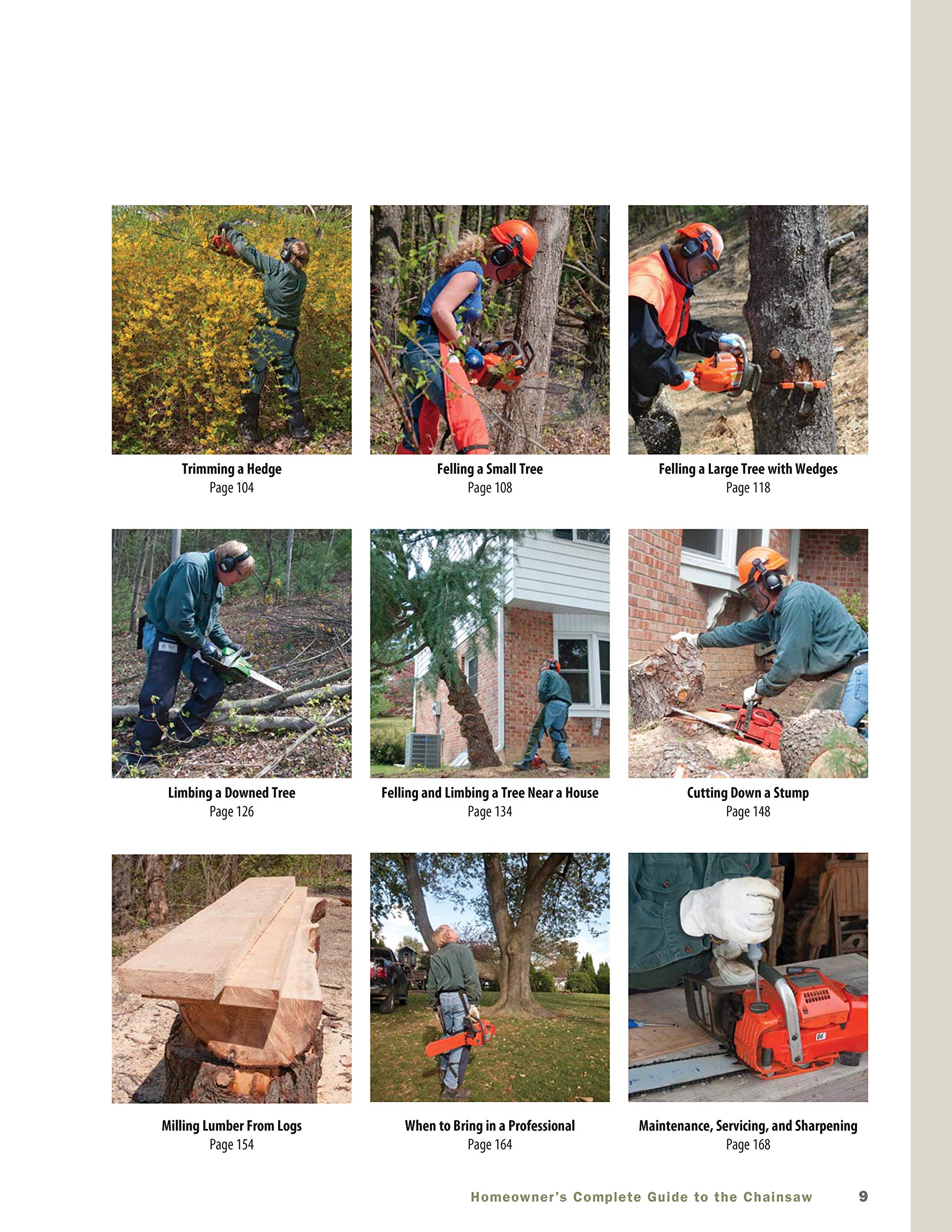 Homeowner's Complete Guide to the Chainsaw: A Chainsaw Pro Shows You How to Safely and Confidently Handle Everything from Trimmi,New