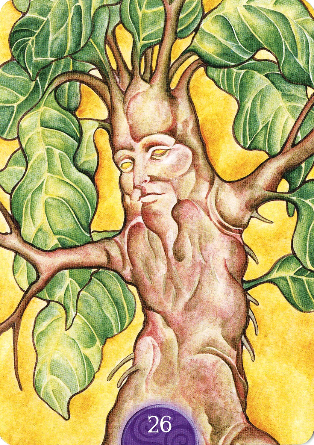 Wicca Oracle,New
