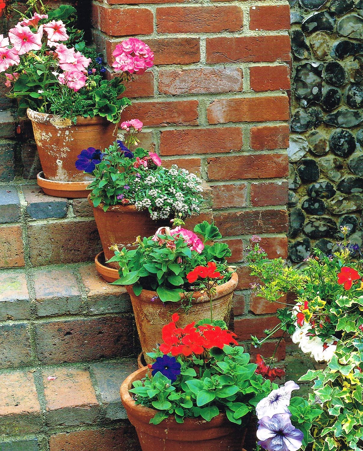 The Potted Garden (Australian Women's Weekly),Used