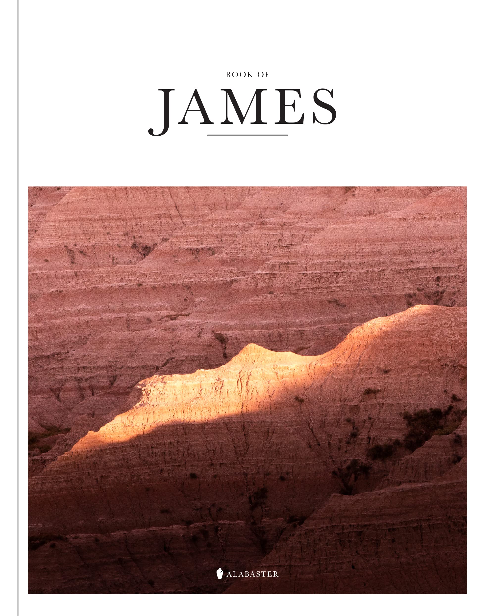 Book of James Alabaster Bible,Used