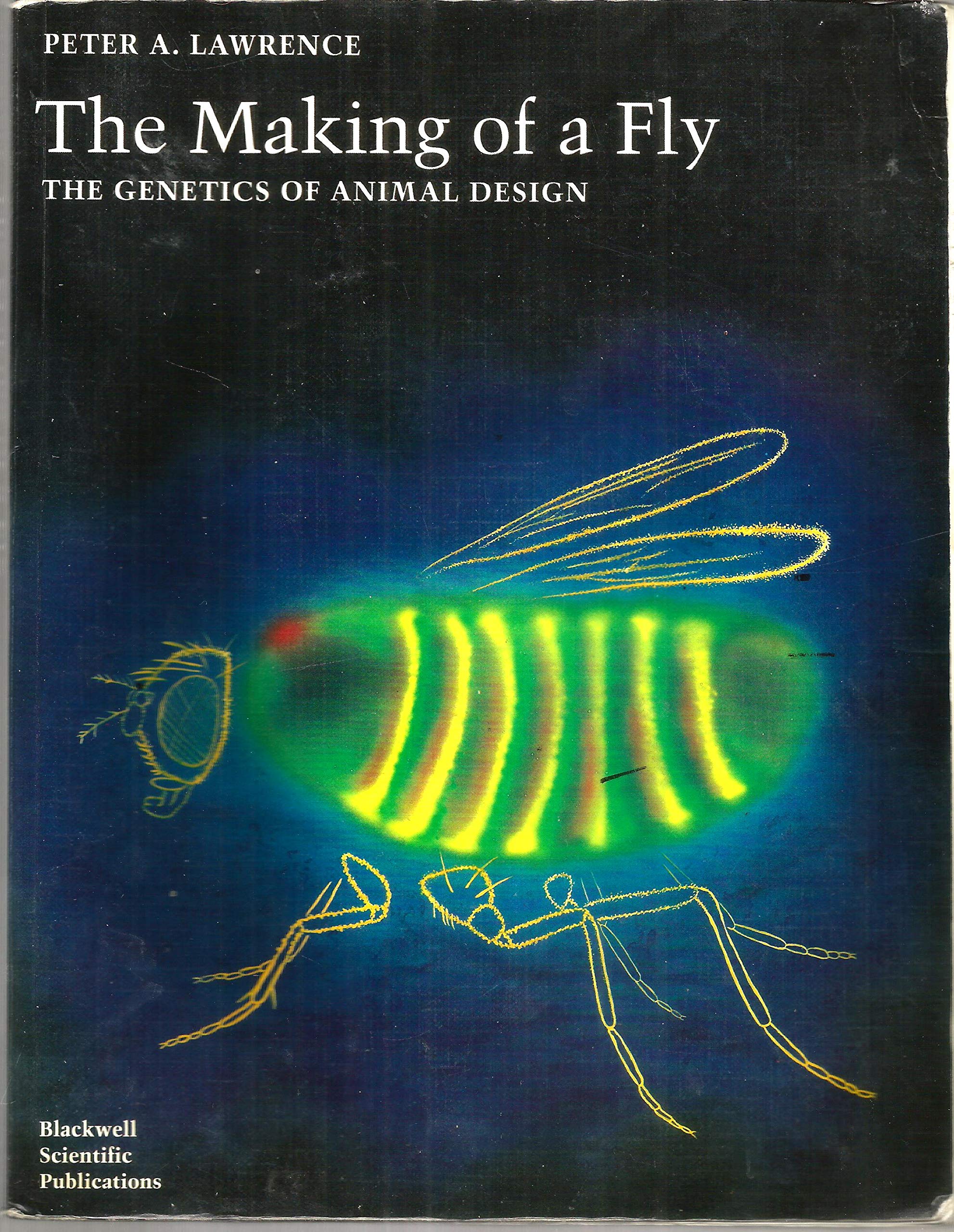 The Making Of A Fly: The Genetics Of Animal Design,New