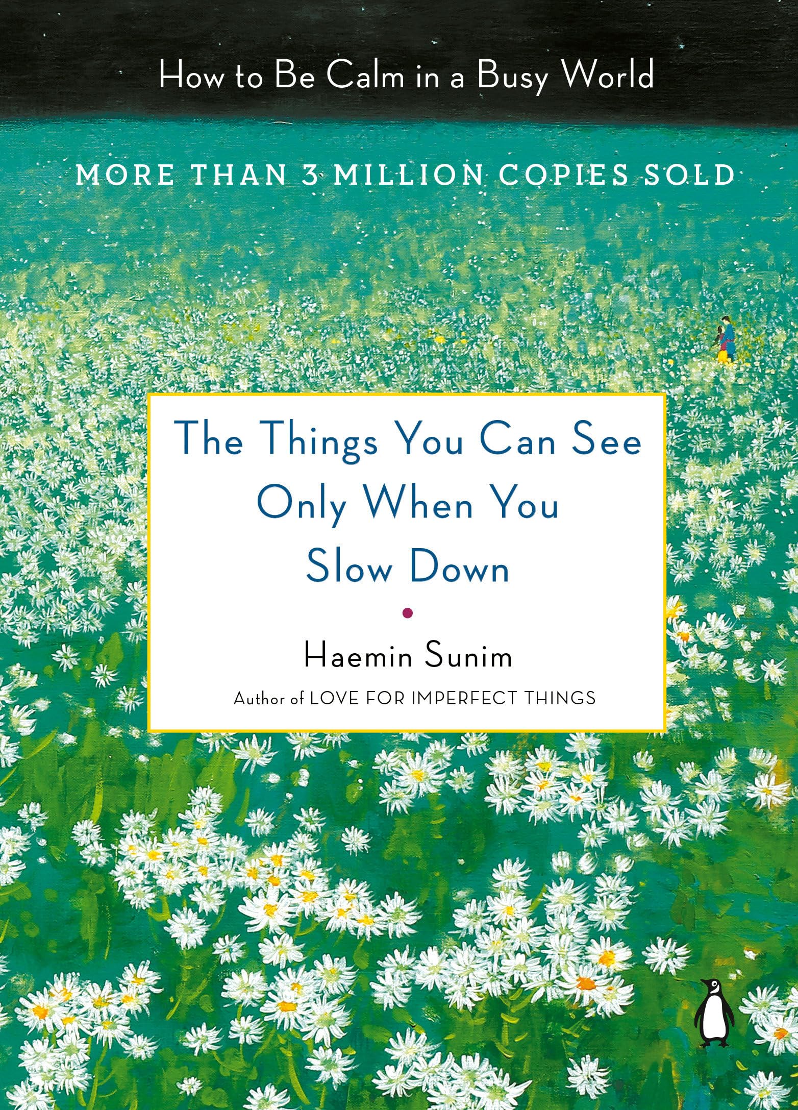The Things You Can See Only When You Slow Down: How To Be Calm In A Busy World,New