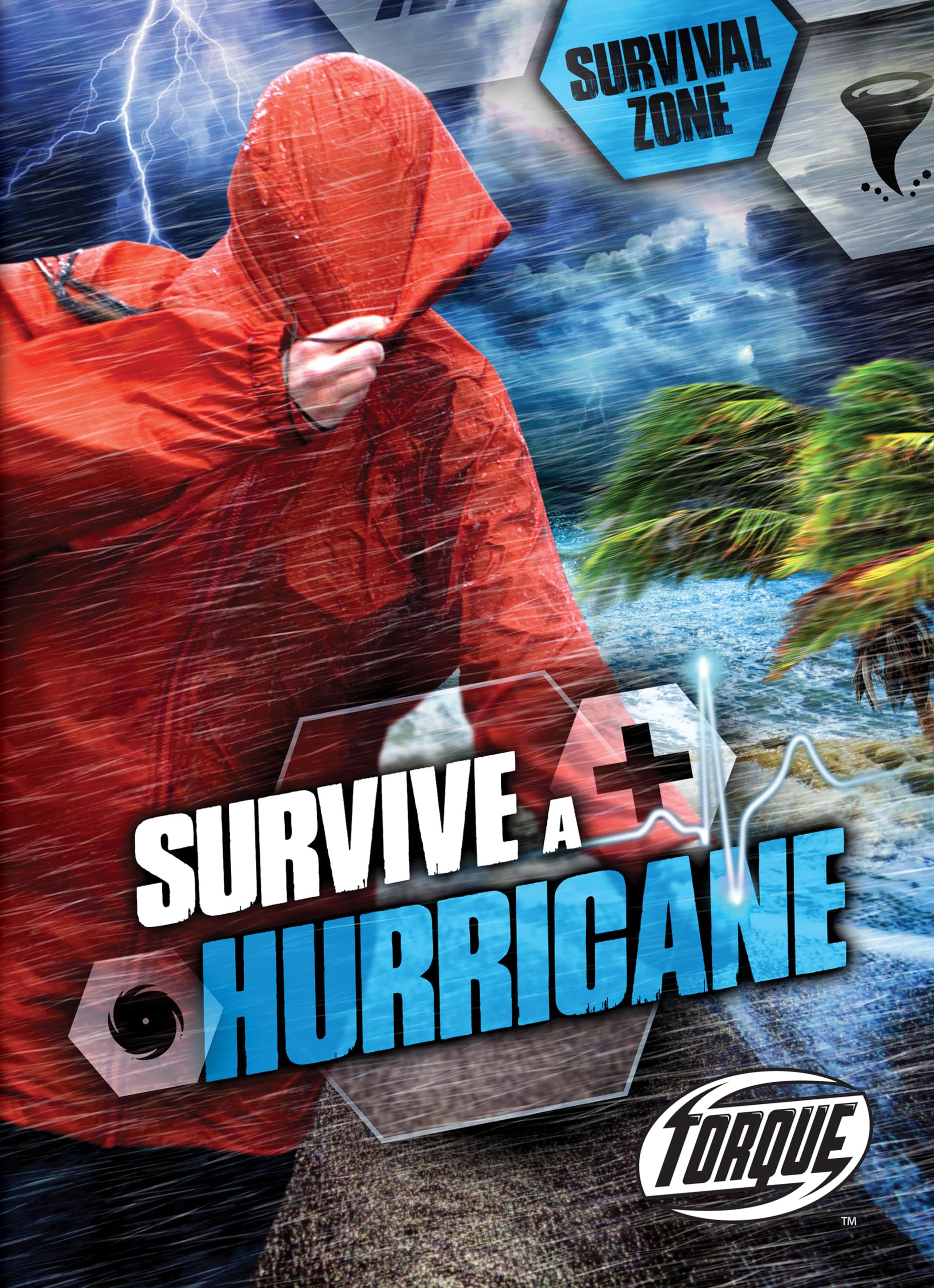 Survive a Hurricane (Survival Zone),Used