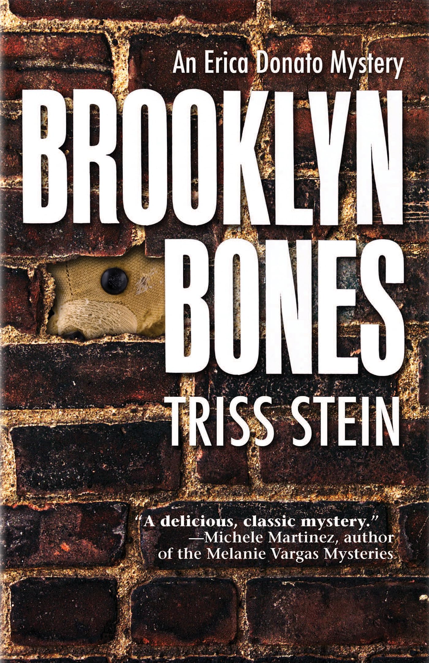 Brooklyn Bones (Erica Donato Mysteries, 1),Used
