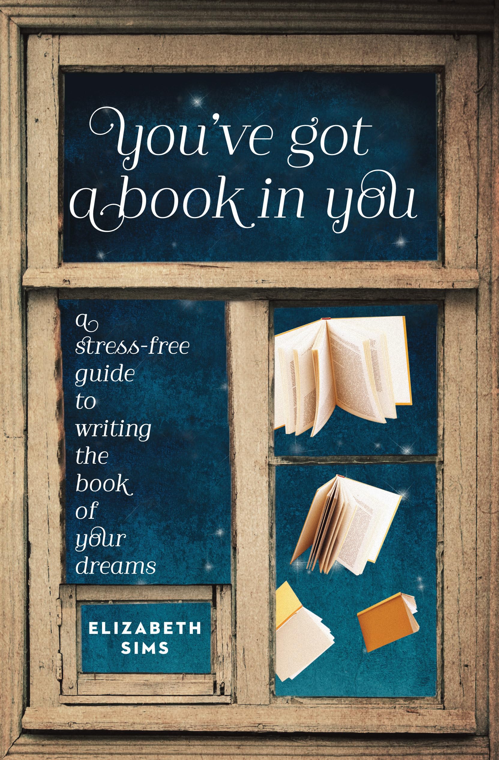 You've Got a Book in You: A StressFree Guide to Writing the Book of Your Dreams,Used