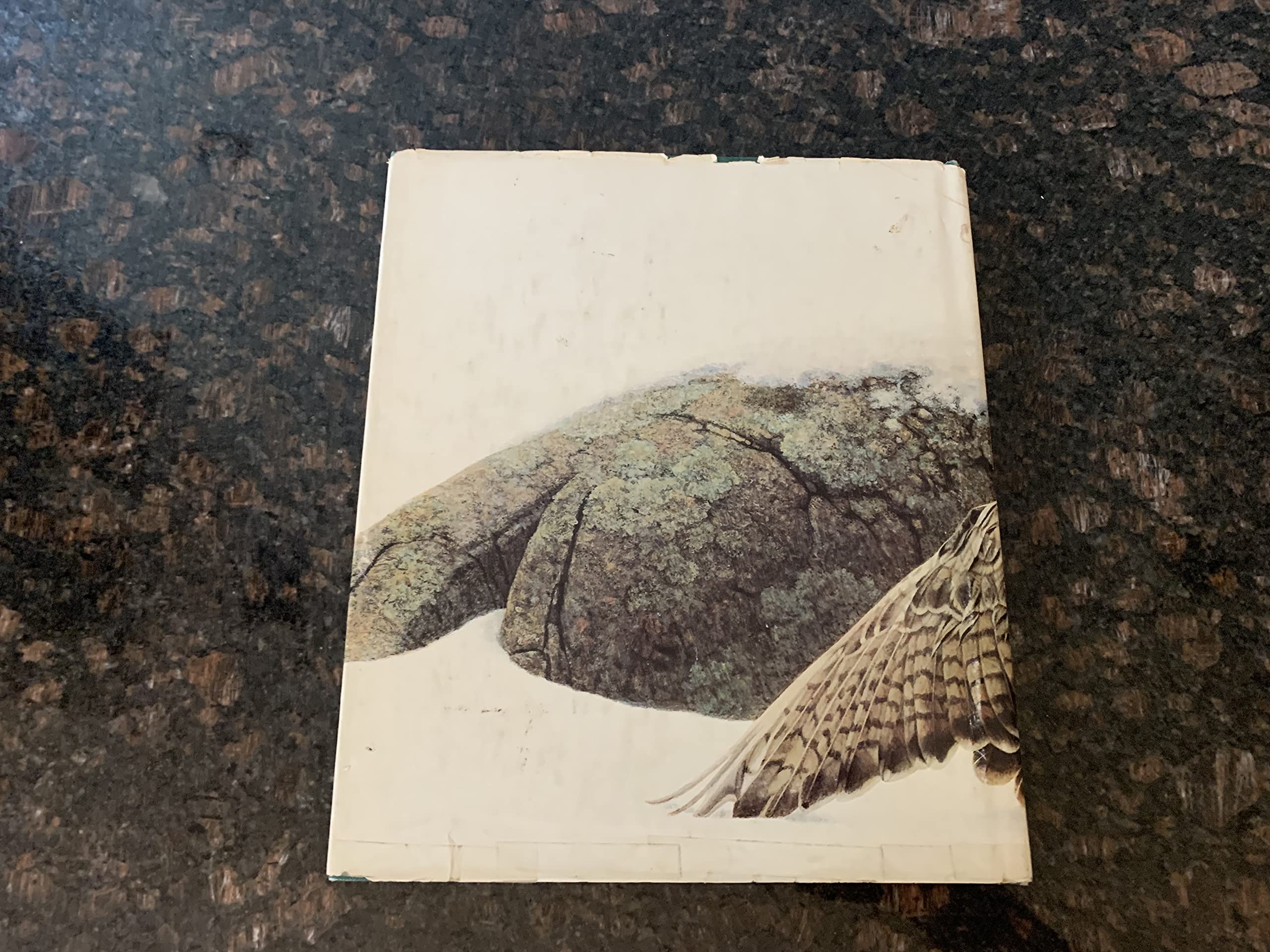 Paintings from the wild: The art and life of George McLean,New